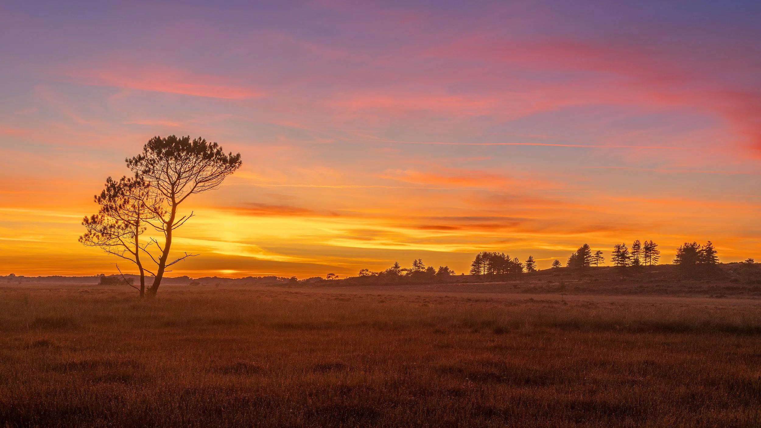 Summer sunset at Middlebere Heath looking in the direction of Stoborough.
