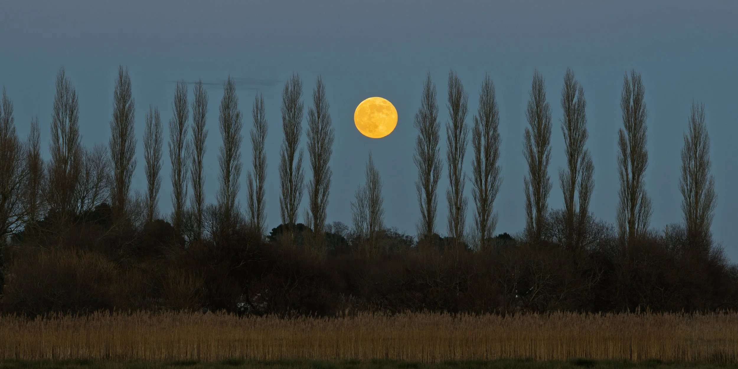 Wareham Meadow Moonrise