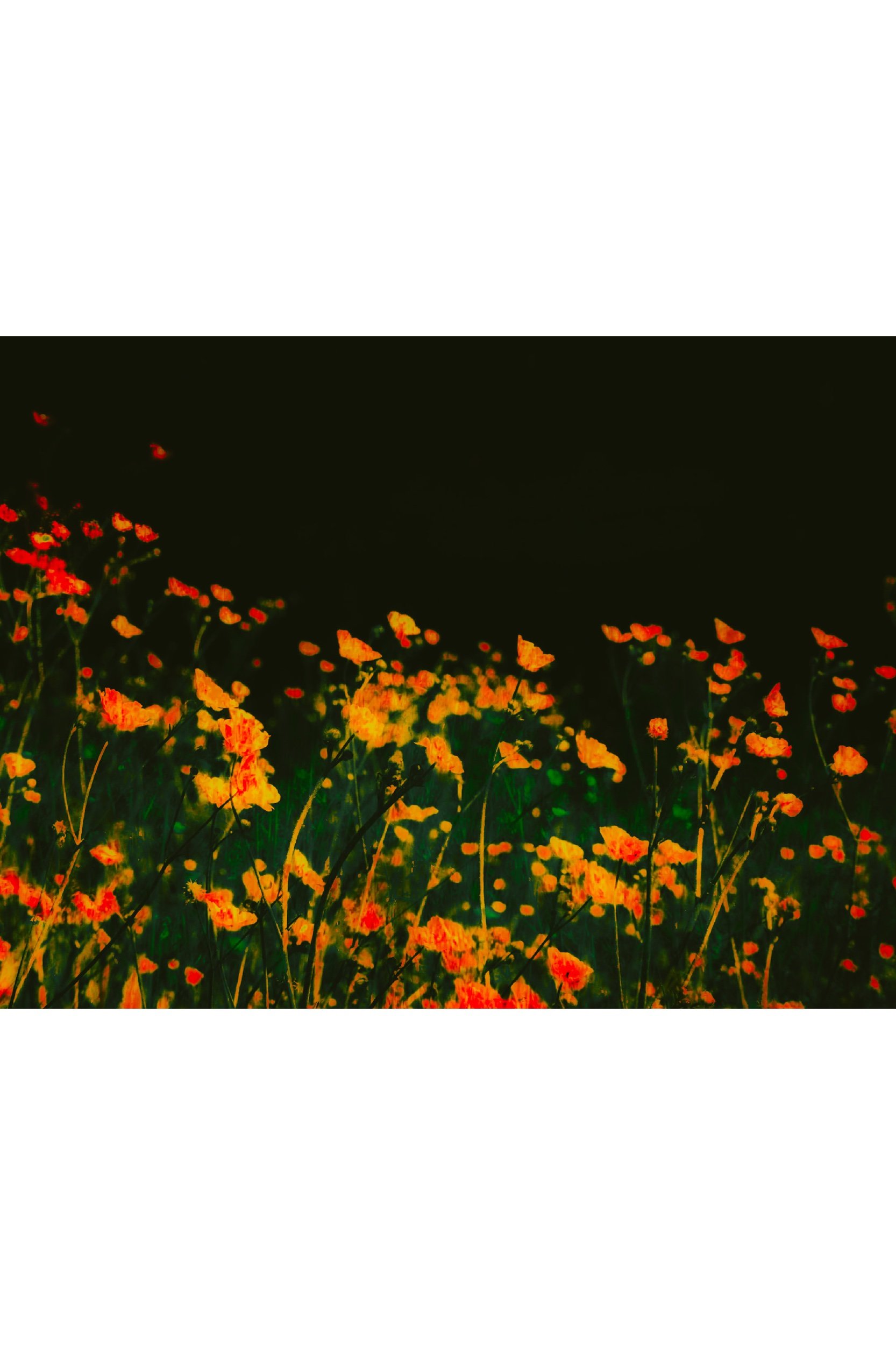5BA4B023-A939-42C7-89E5-9A0A39EAB286.jpeg