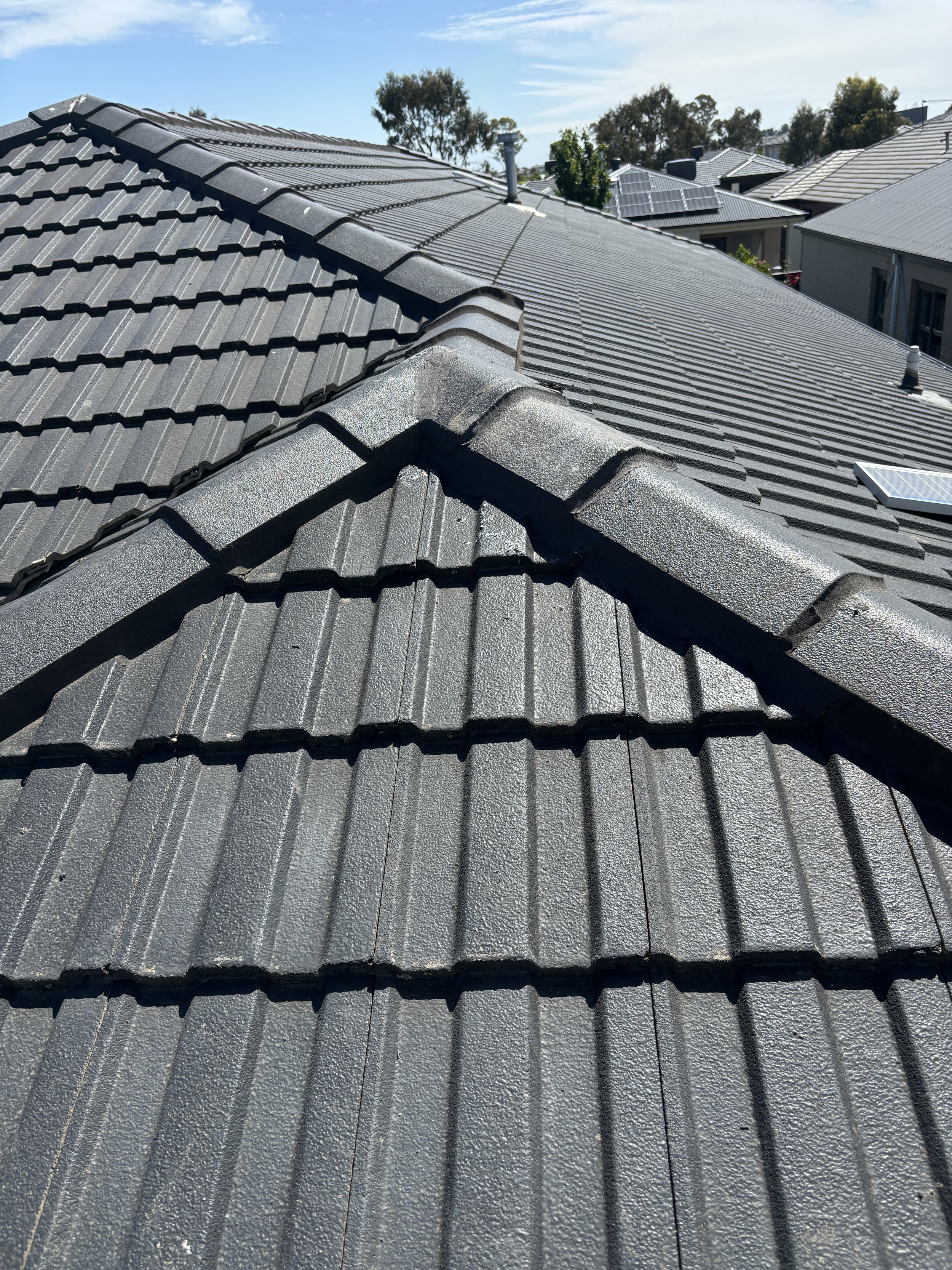 Photo 7-11-2024, 2 39 35 pm.jpeg.jpg