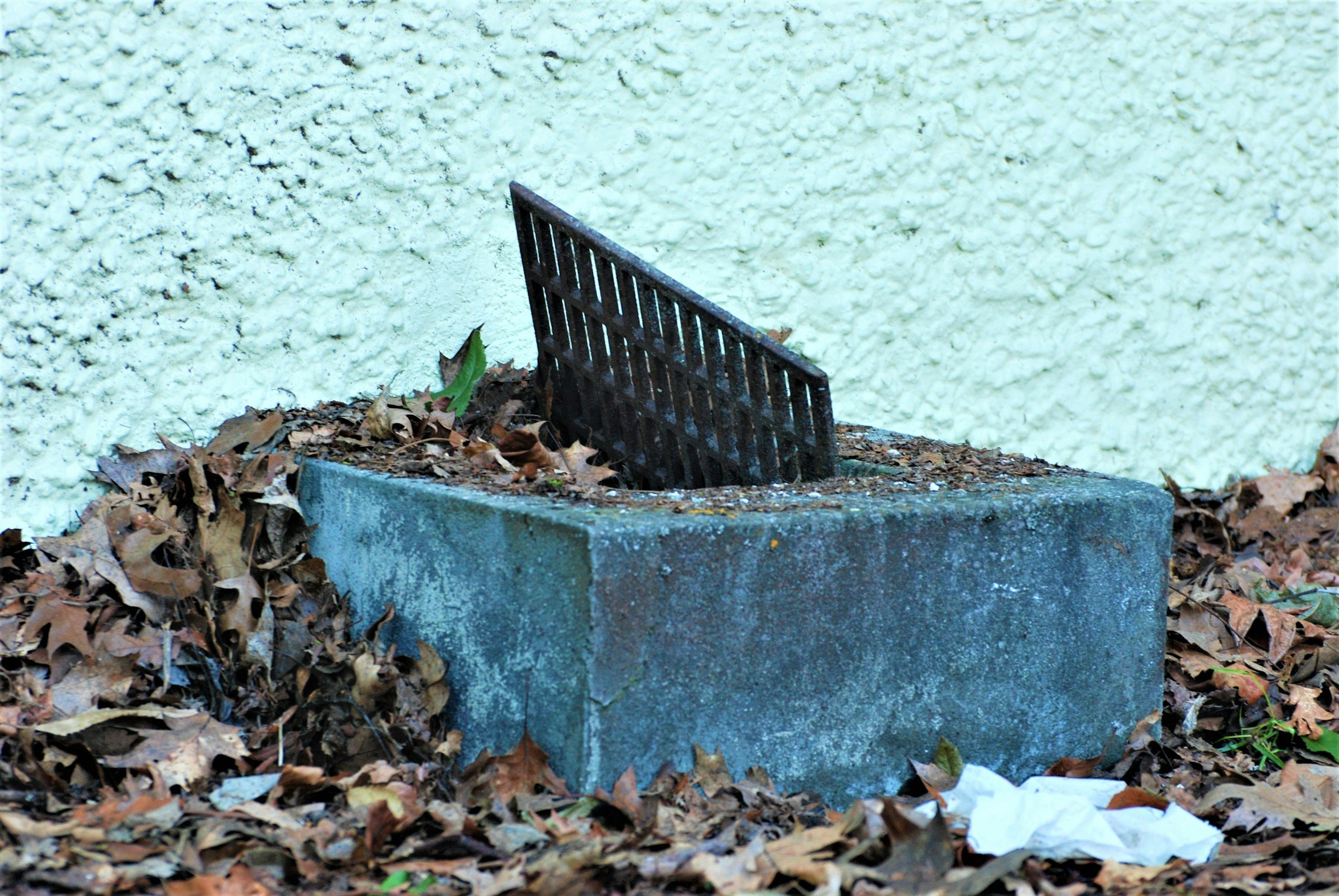 A blocked drain on a concrete base surrounded by fallen brown leaves, against a textured light yellow wall.