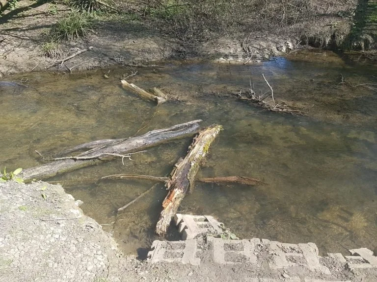 Random River Visit