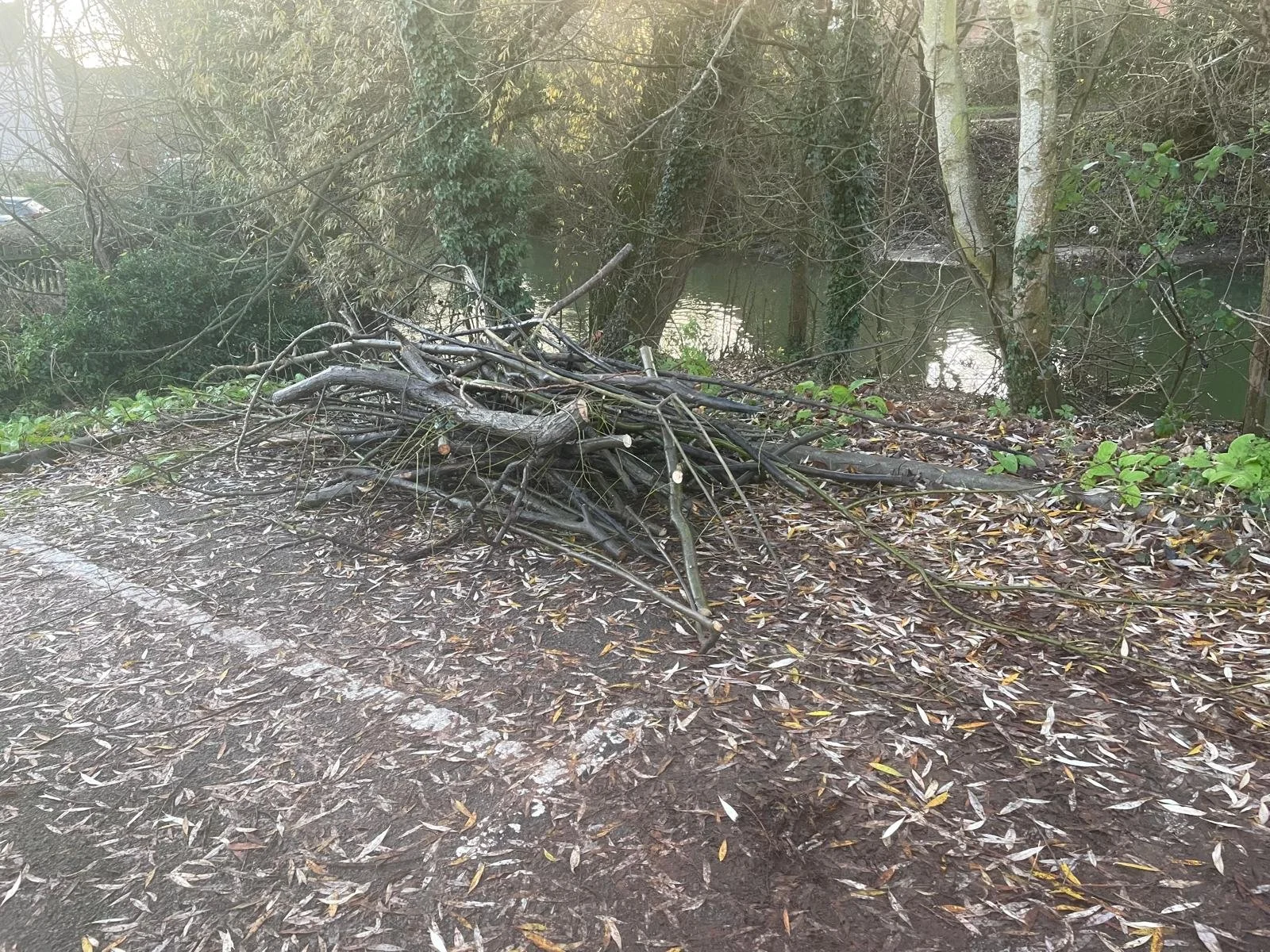 Nelson Court to Fishers Fields removed matter