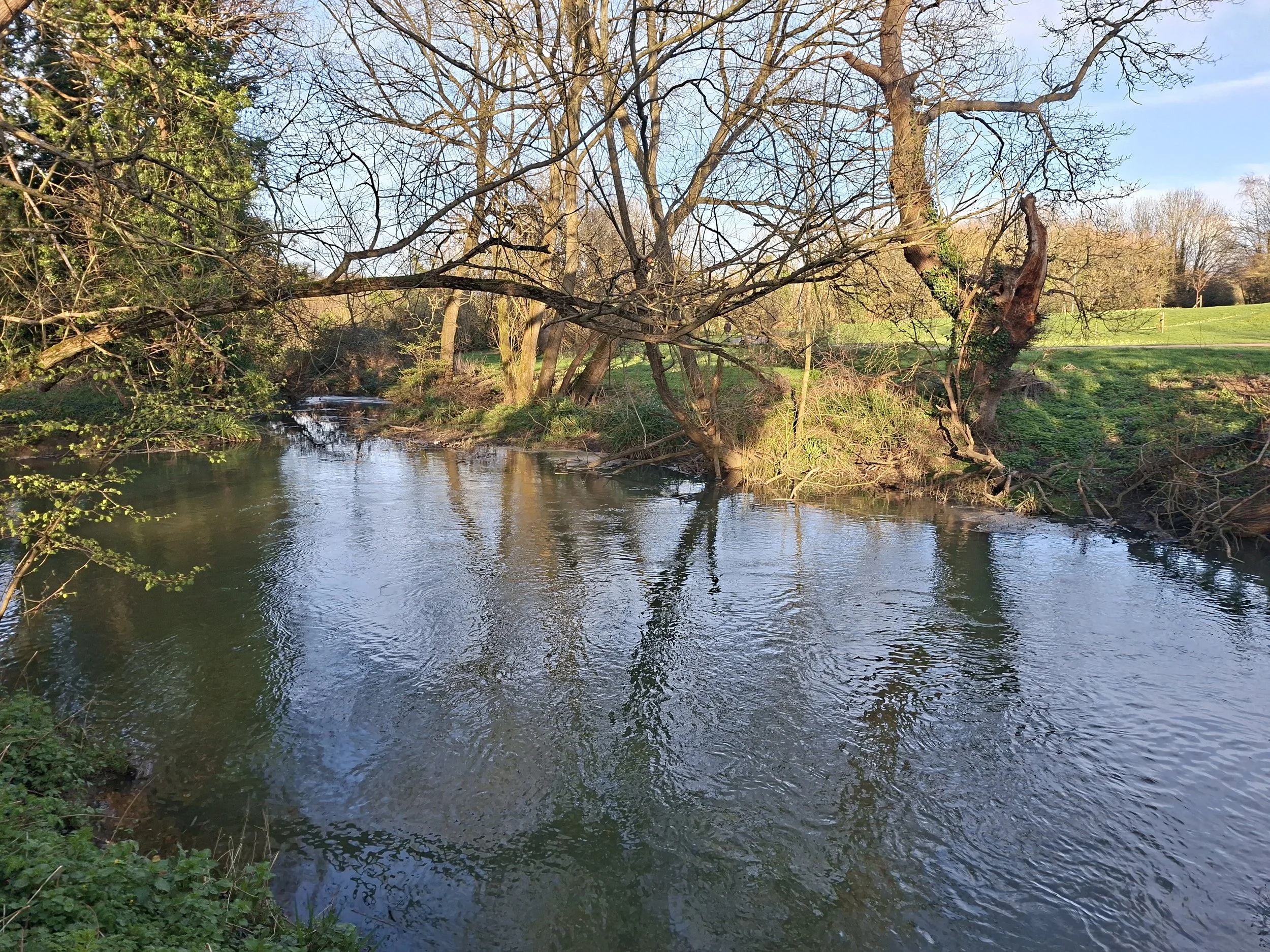 Cornwalls Meadow downstream of footbridge