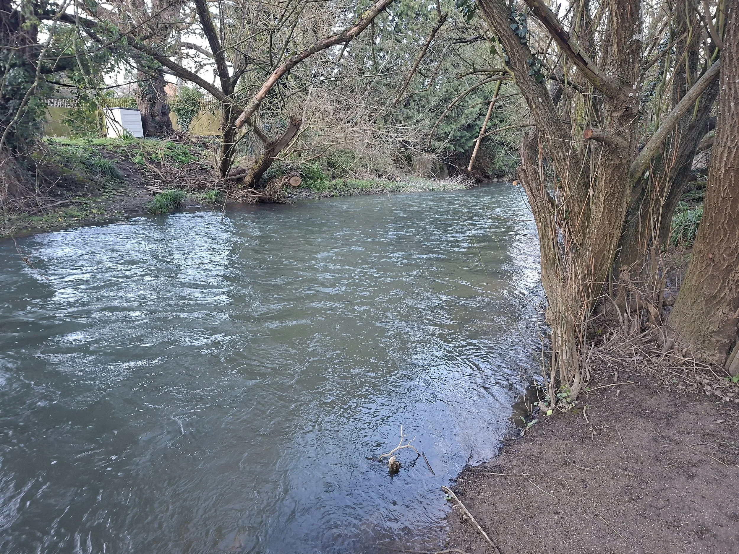 Rear of Cecil's Yard