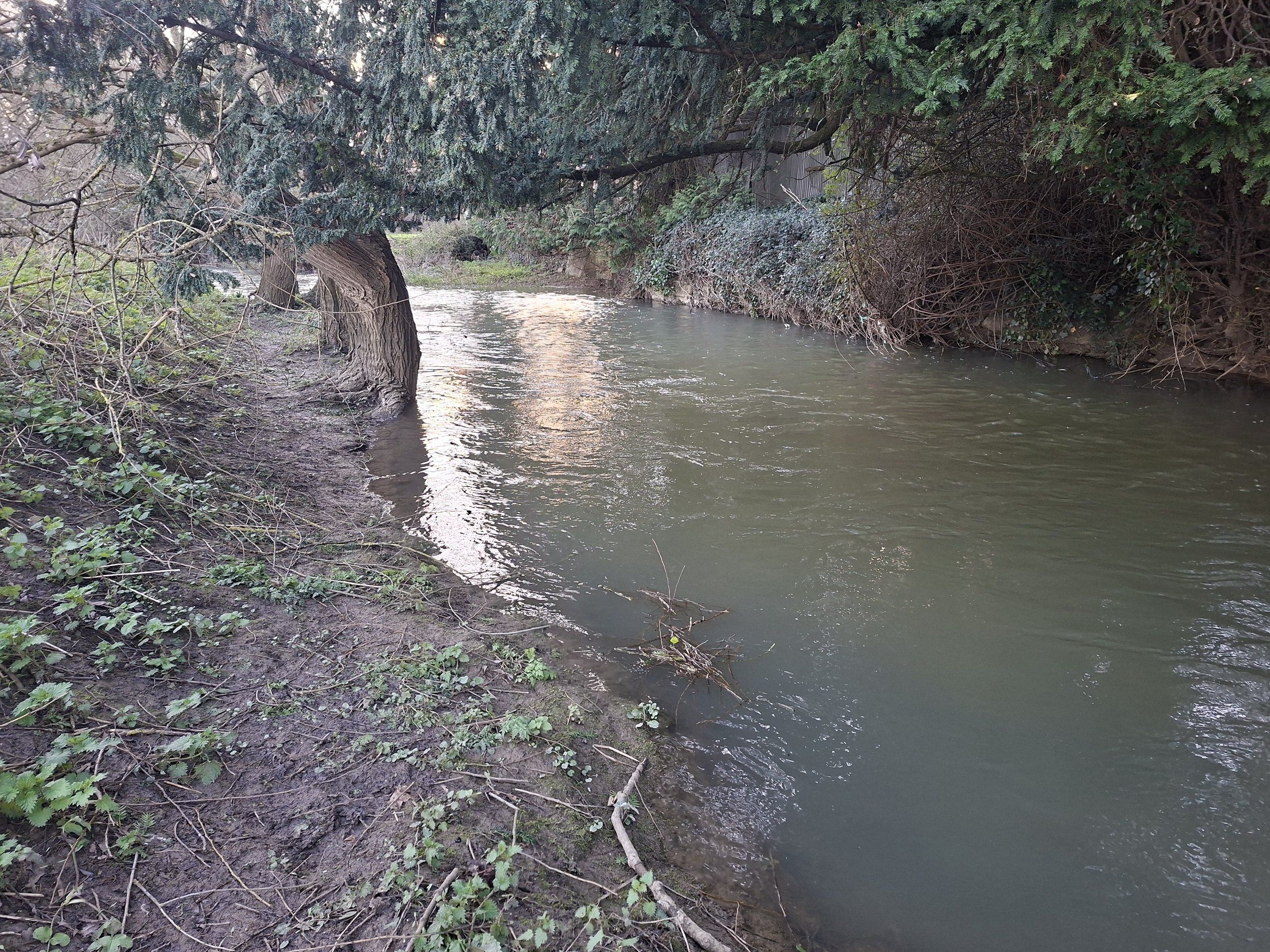 Looking upstream to Cecil's Yard
