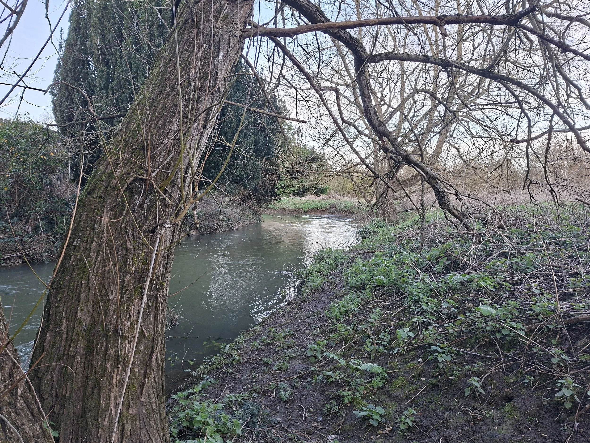 Looking downstream to Wharf Yard