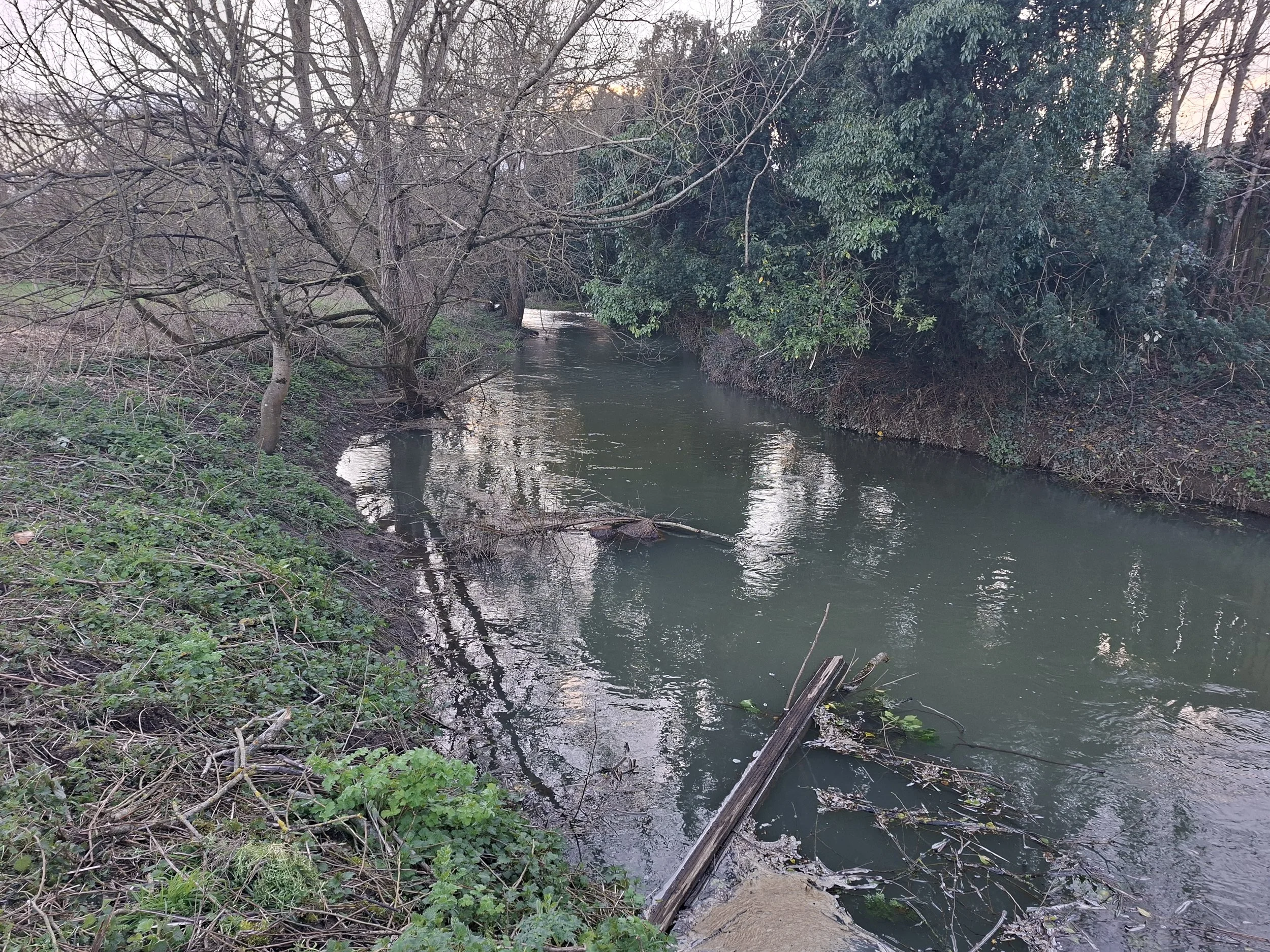 Looking upstream from the rear of Wharf Yard