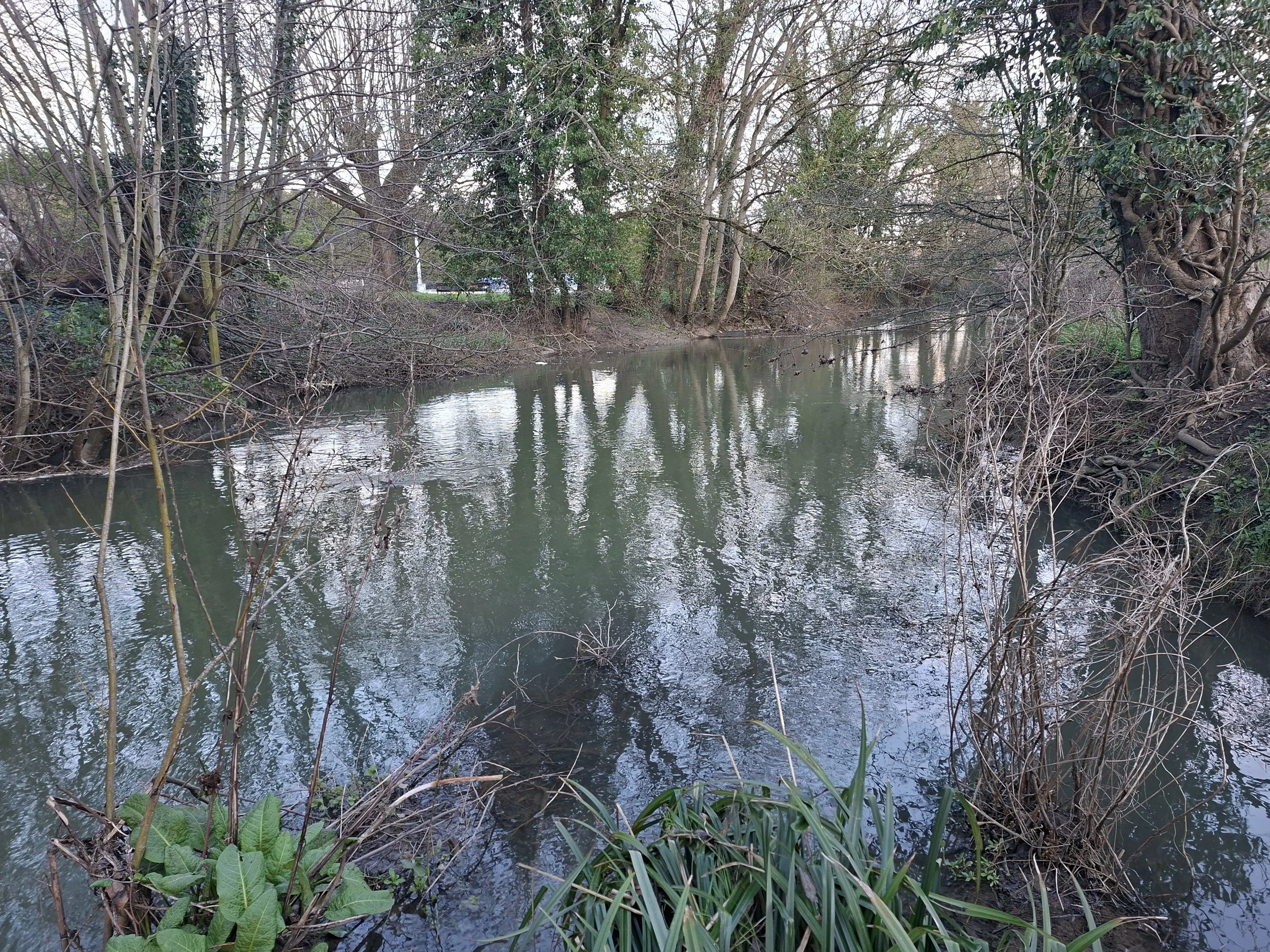 Looking Downstream towards the football club