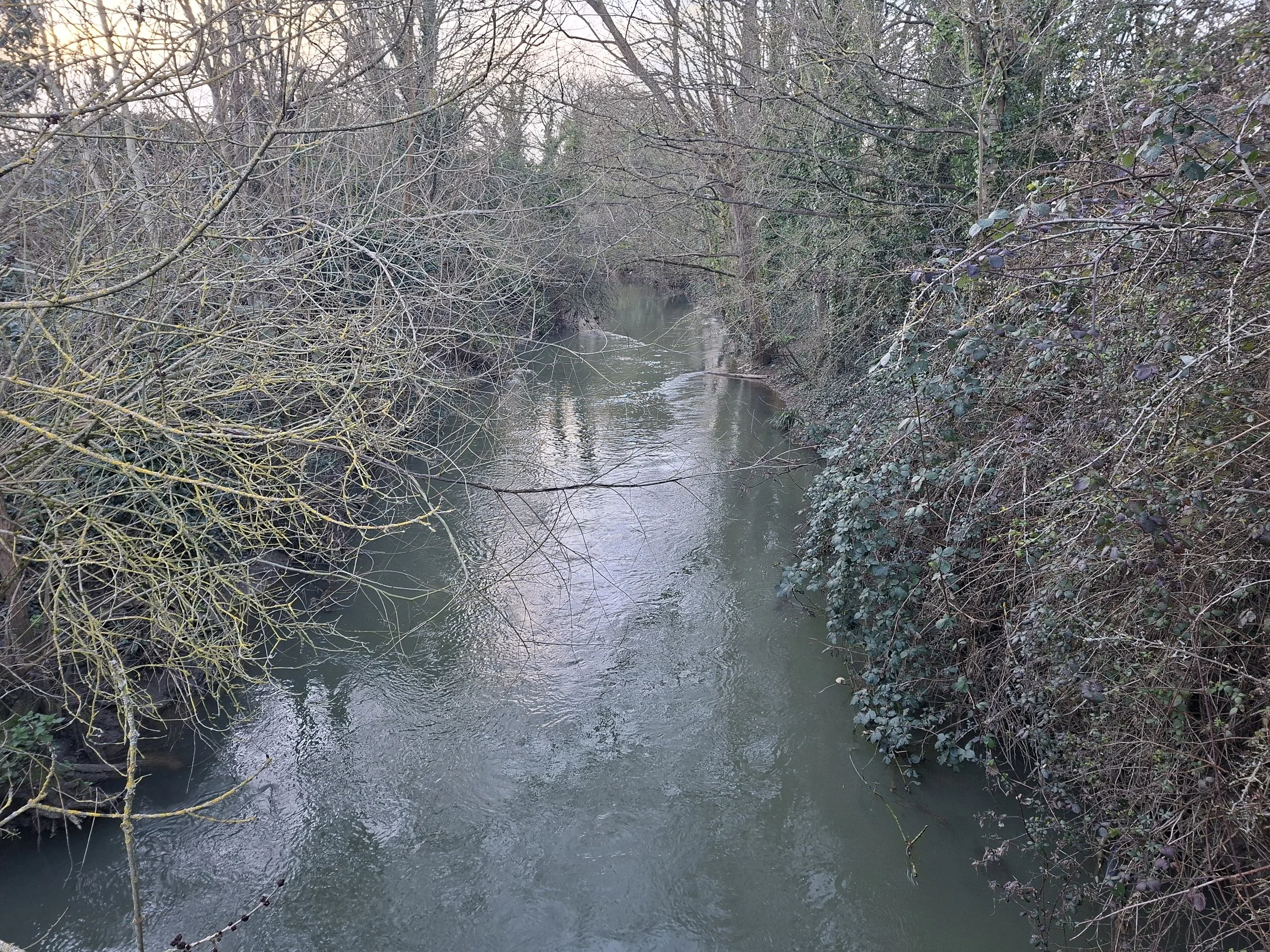 Looking upstream from the footbridge