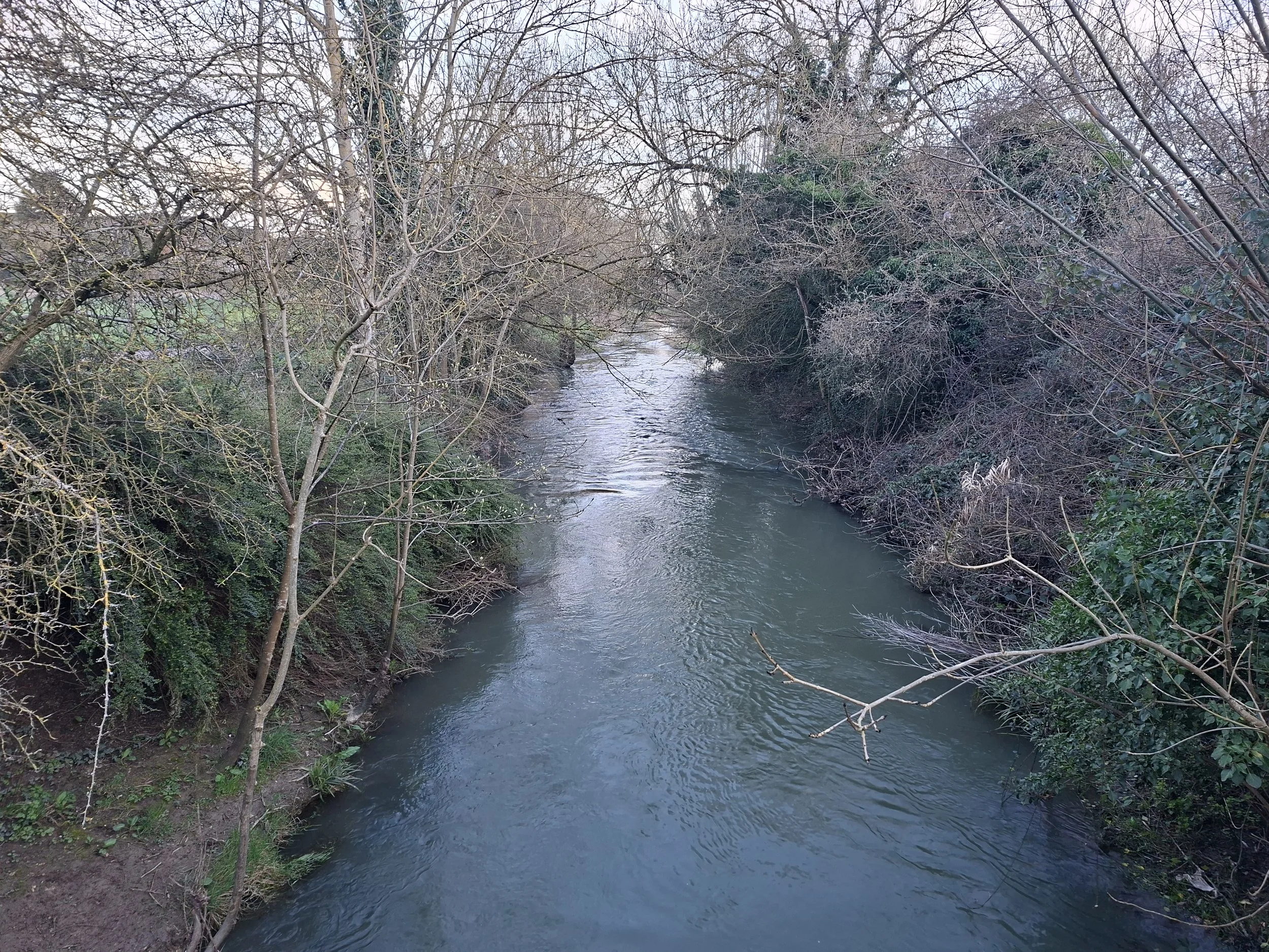 Looking downstream from the footbridge