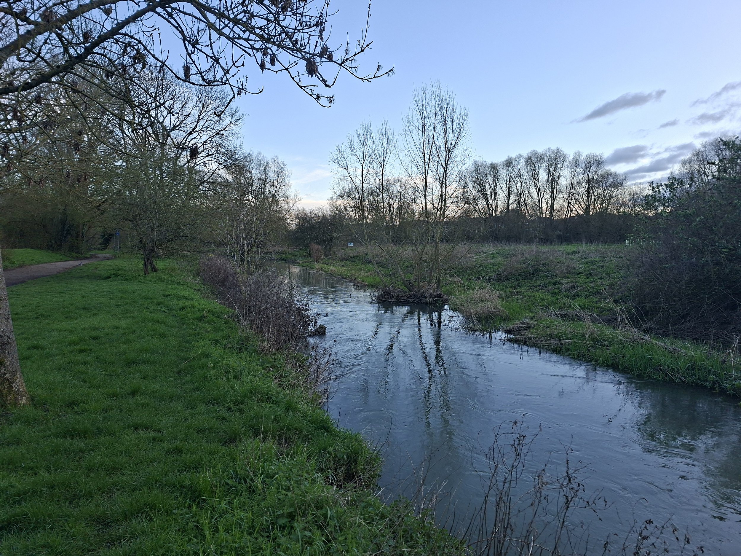 Looking downstream towards the Edible Garden