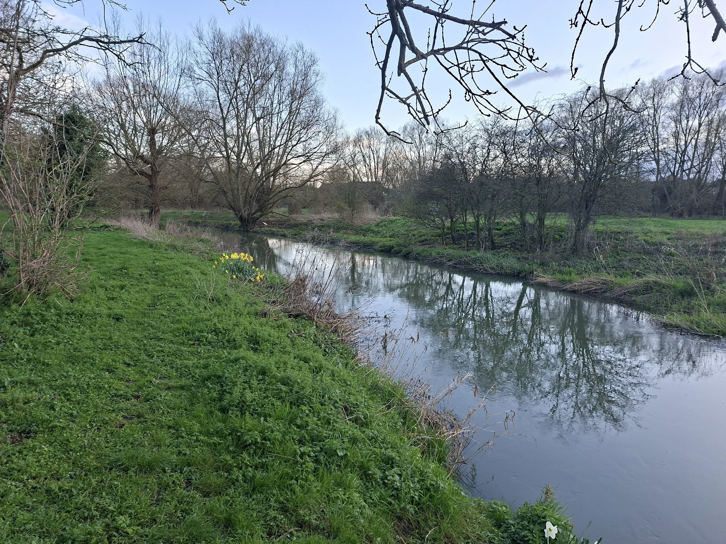 Looking downstream rear of Linden Village