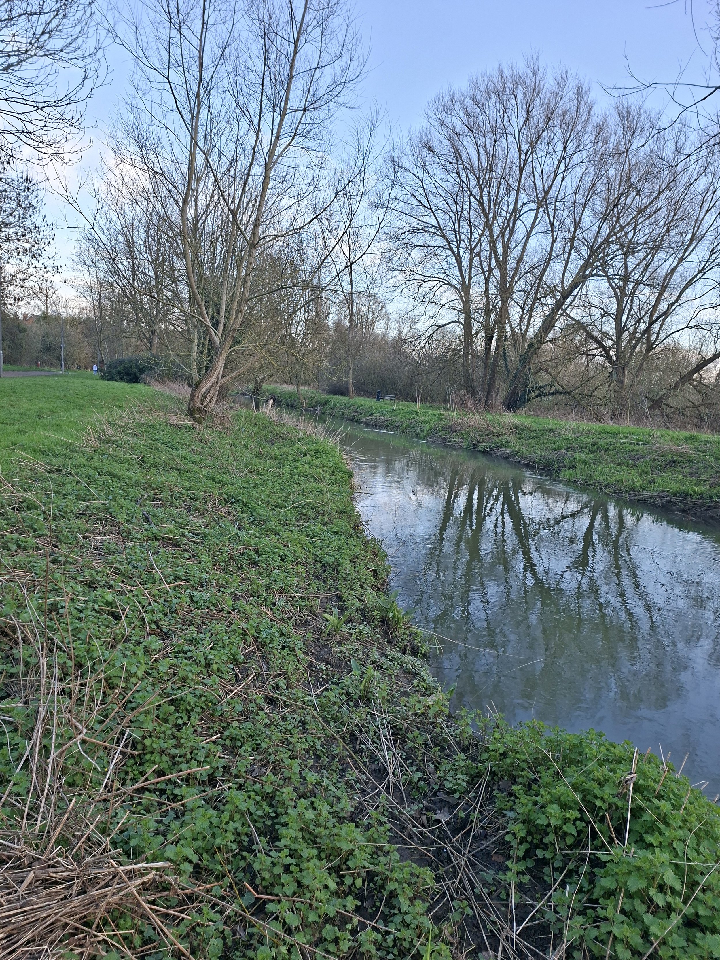 Looking downstream rear of Linden Village