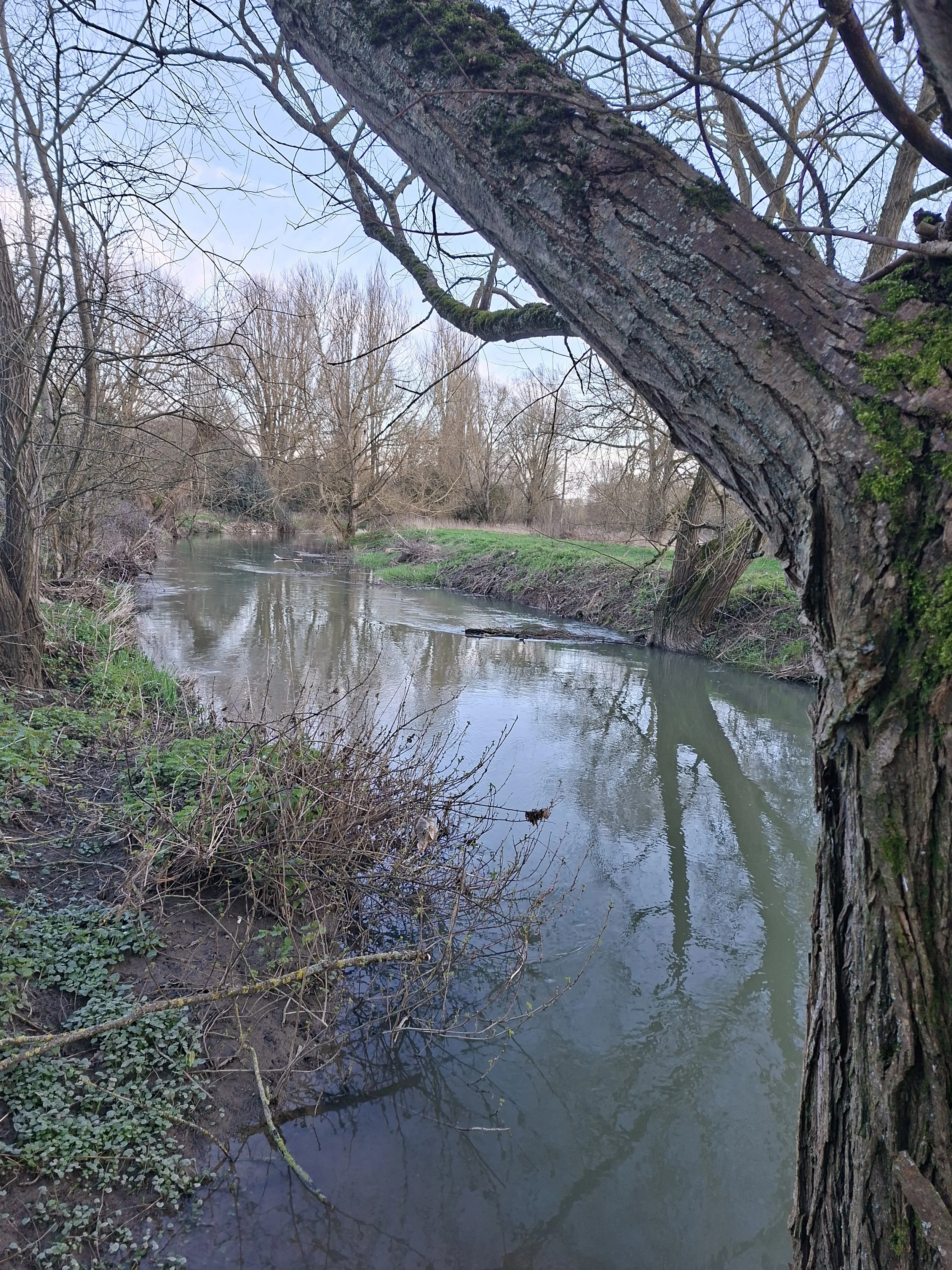 Looking downstream to Bourton Park
