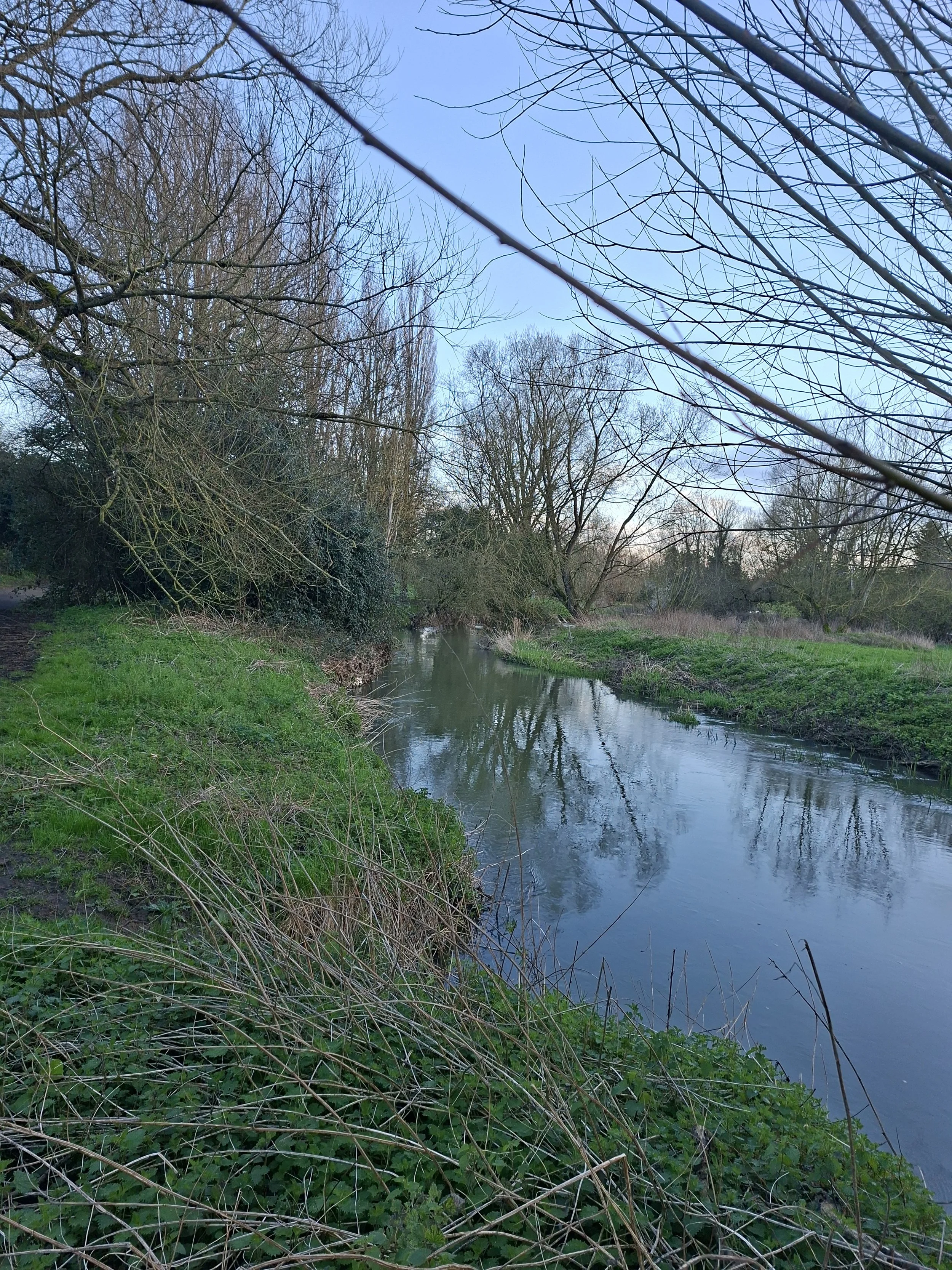 Looking downstream to Bourton Park