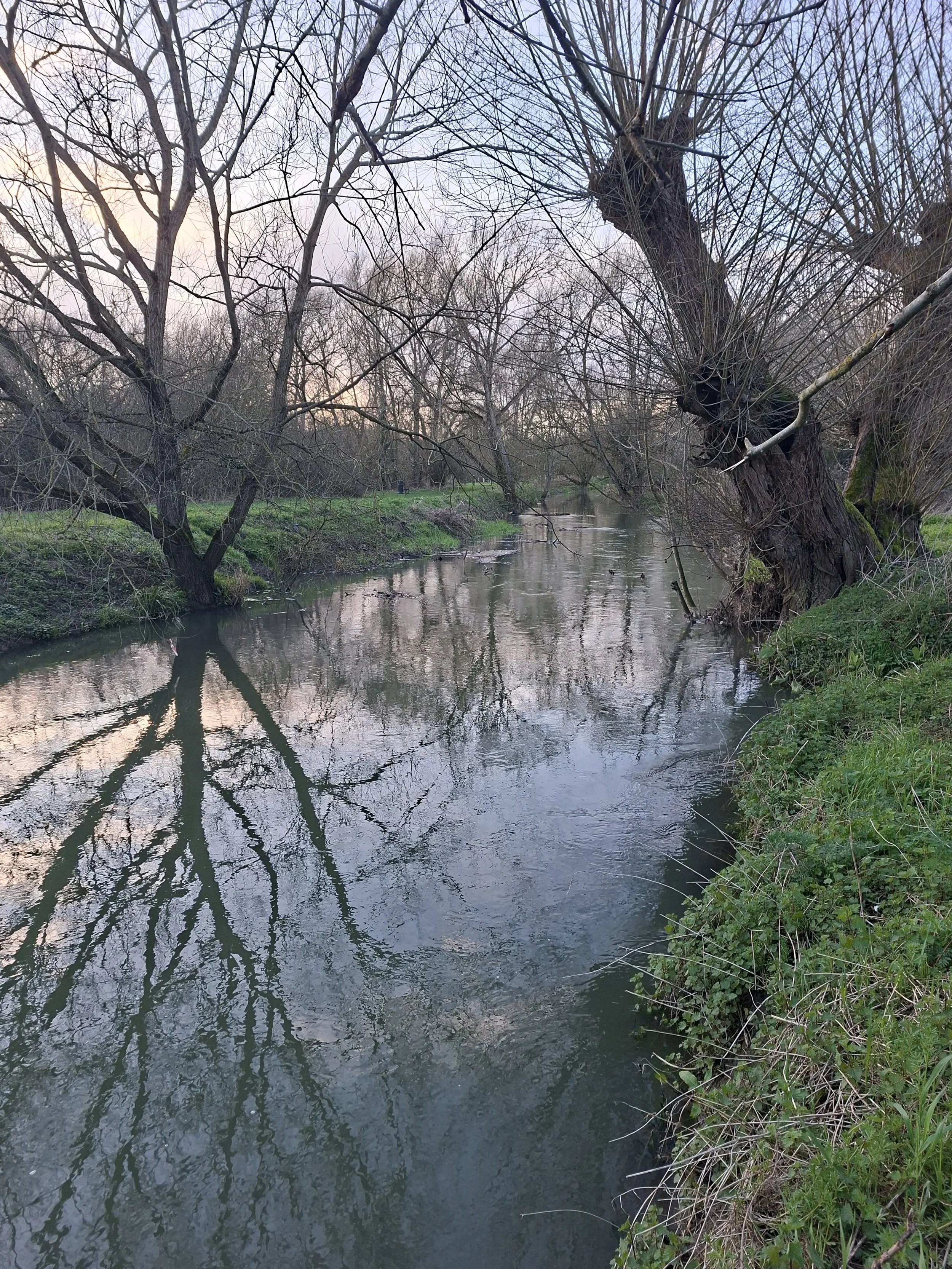 Looking upstream to Linden Village