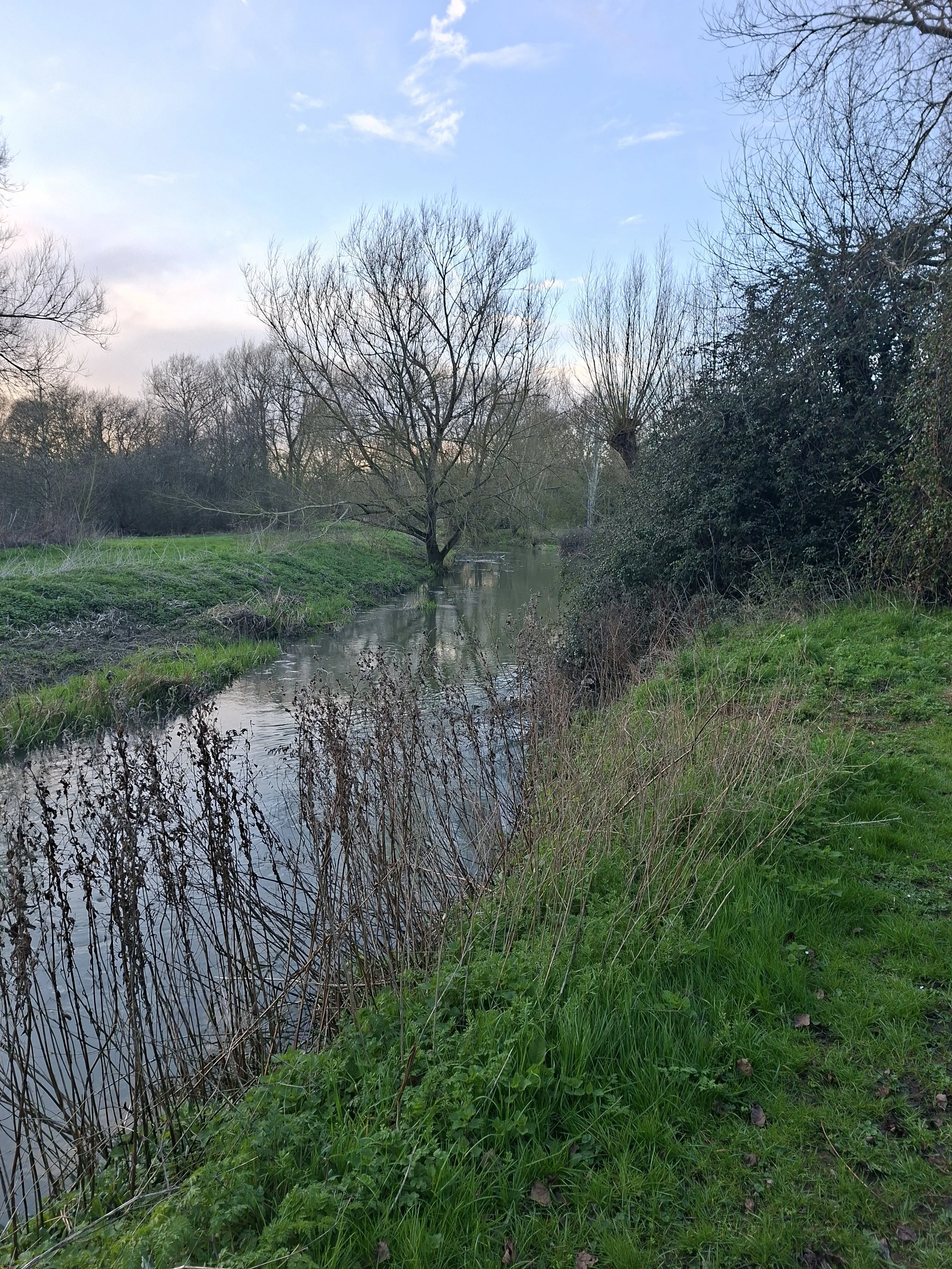 Looking upstream to Linden Village