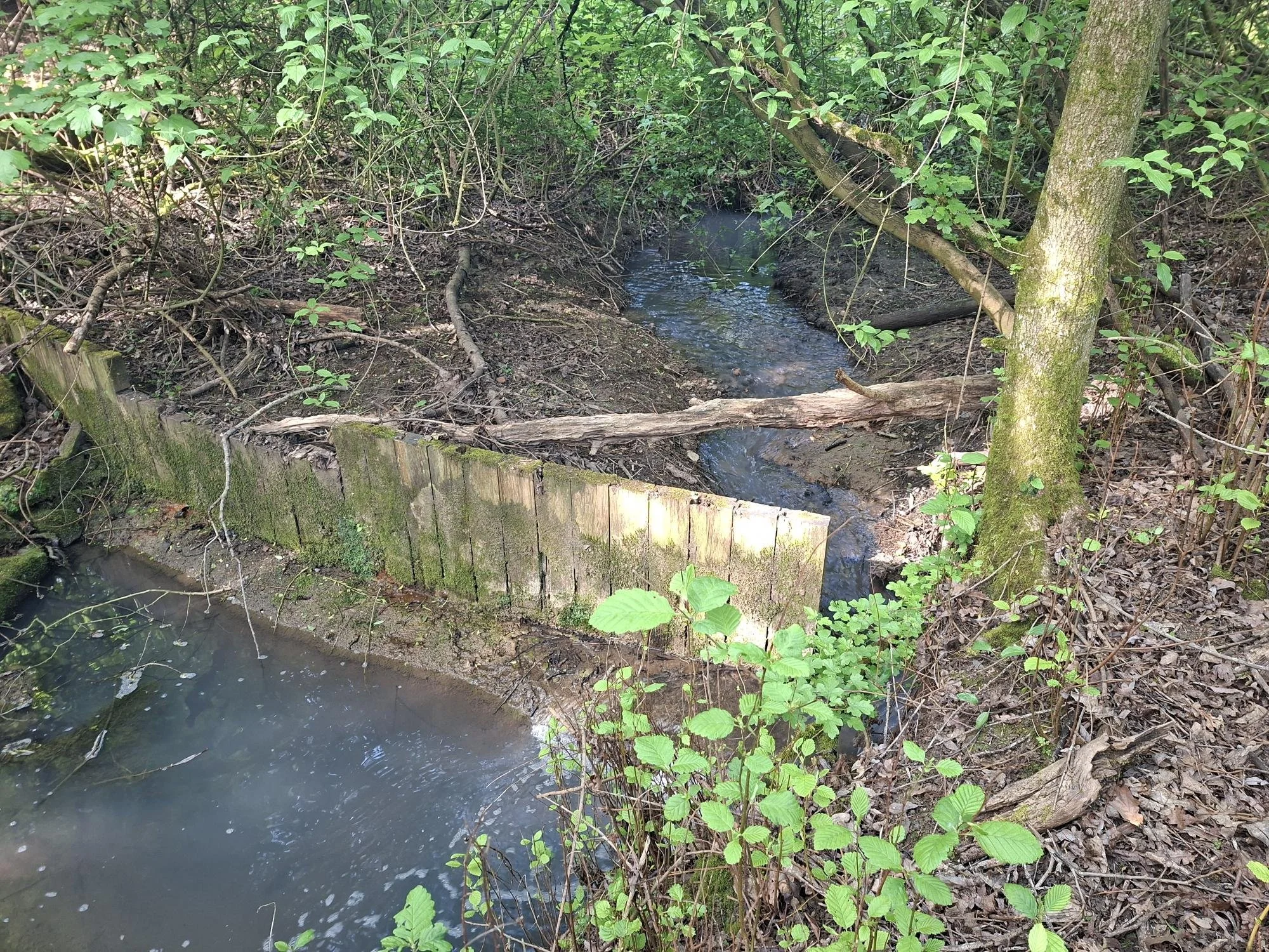 Natural Flood Management