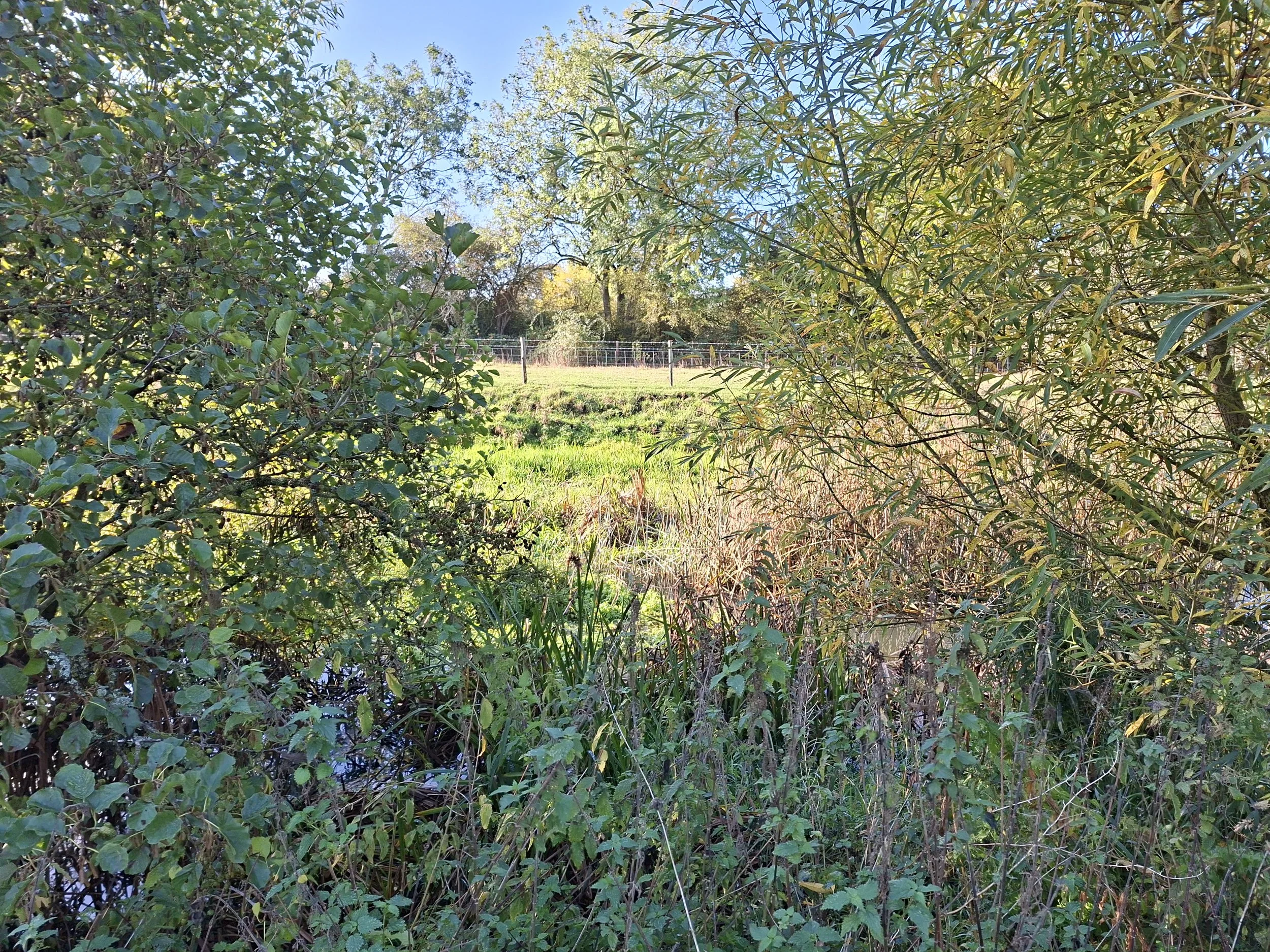 20261016_101533.jpg