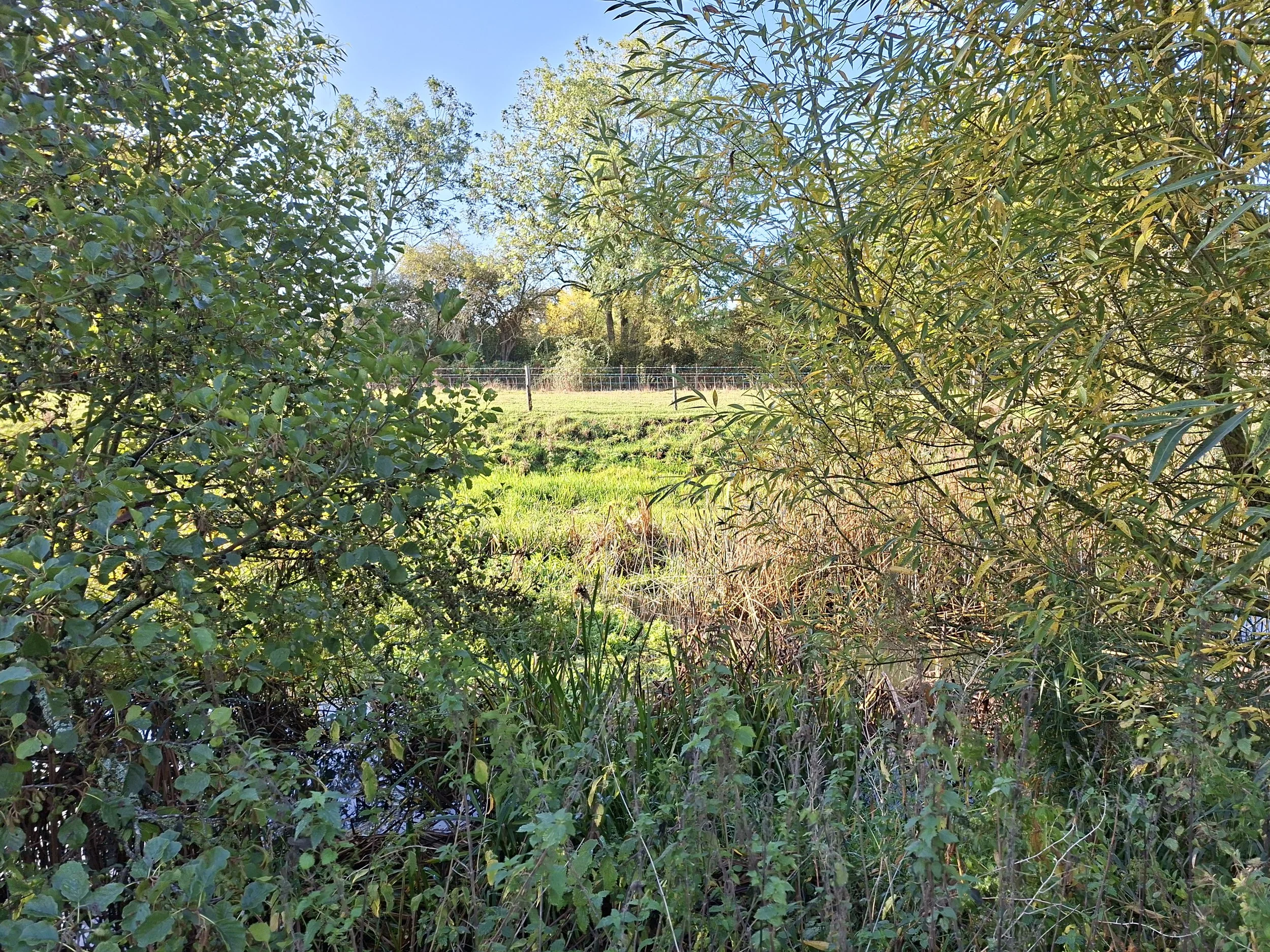 20261016_101529.jpg