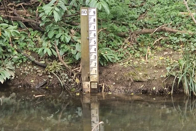 A water level gauge measuring approximately 2.5 feet, placed near the shore of a body of water with green foliage and branches in the background.