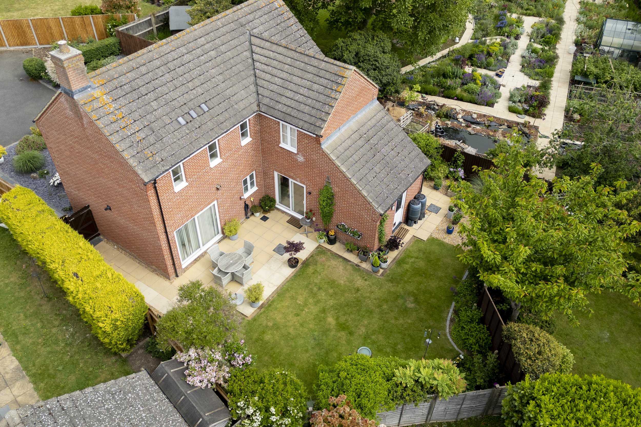 DJI_0781.jpg
