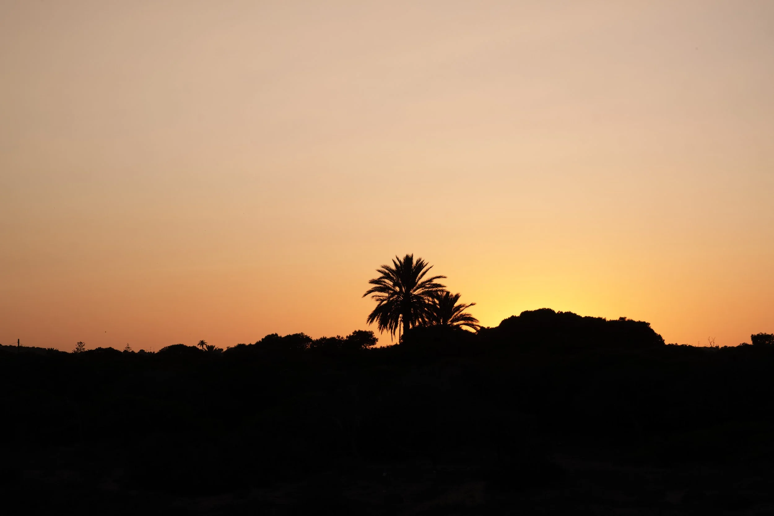 Sanfulgencio-zonsondergang.jpg