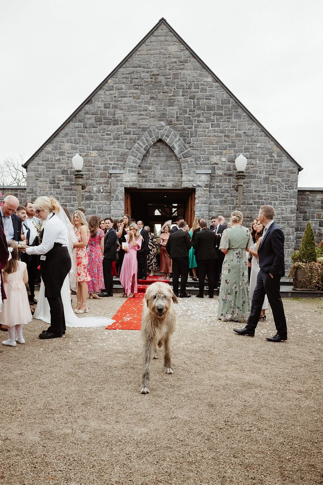 Clare & Martin _M-1777.jpg