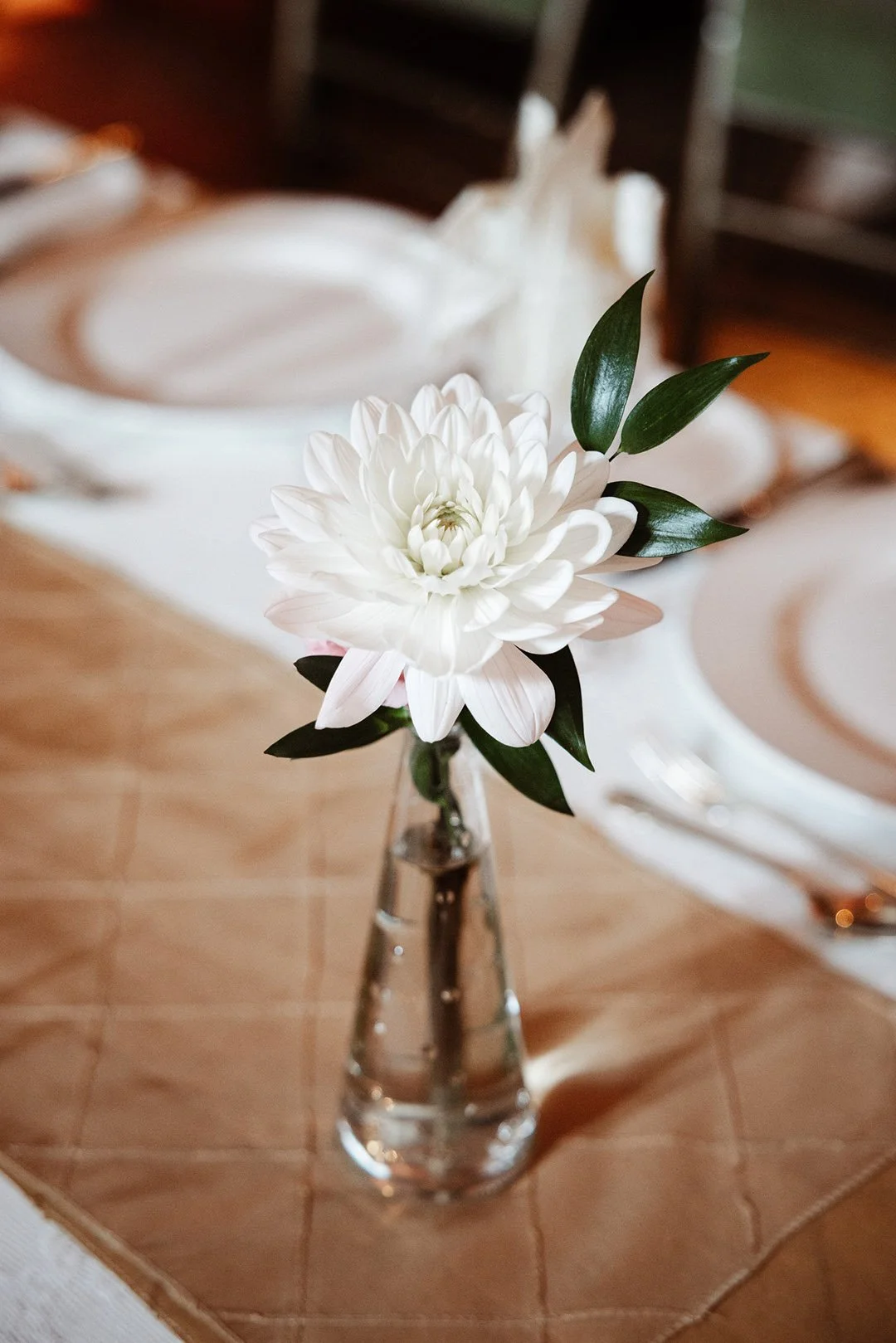 Clare & Martin _M-1822.jpg