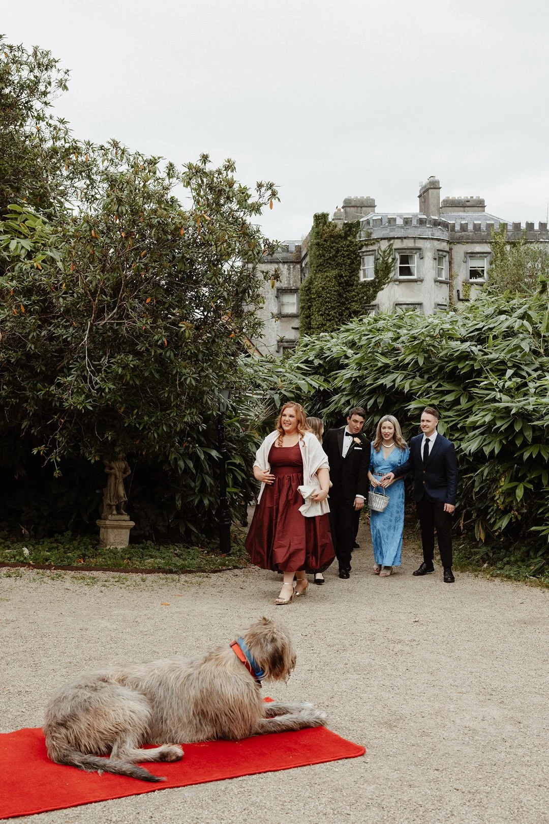 Clare & Martin _M-1542.jpg