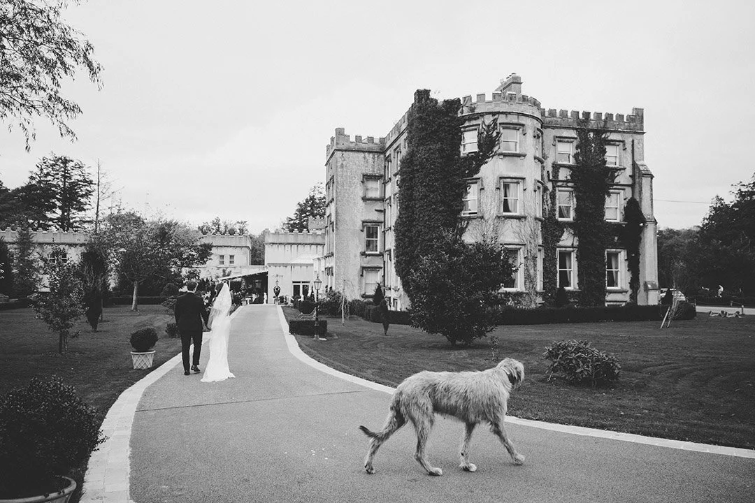 Clare & Martin _M-1791.jpg