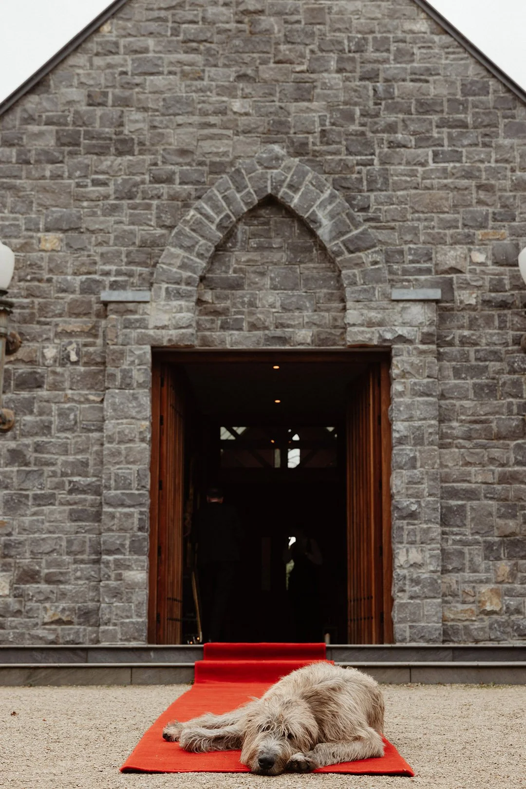 Clare & Martin _M-1553.jpg