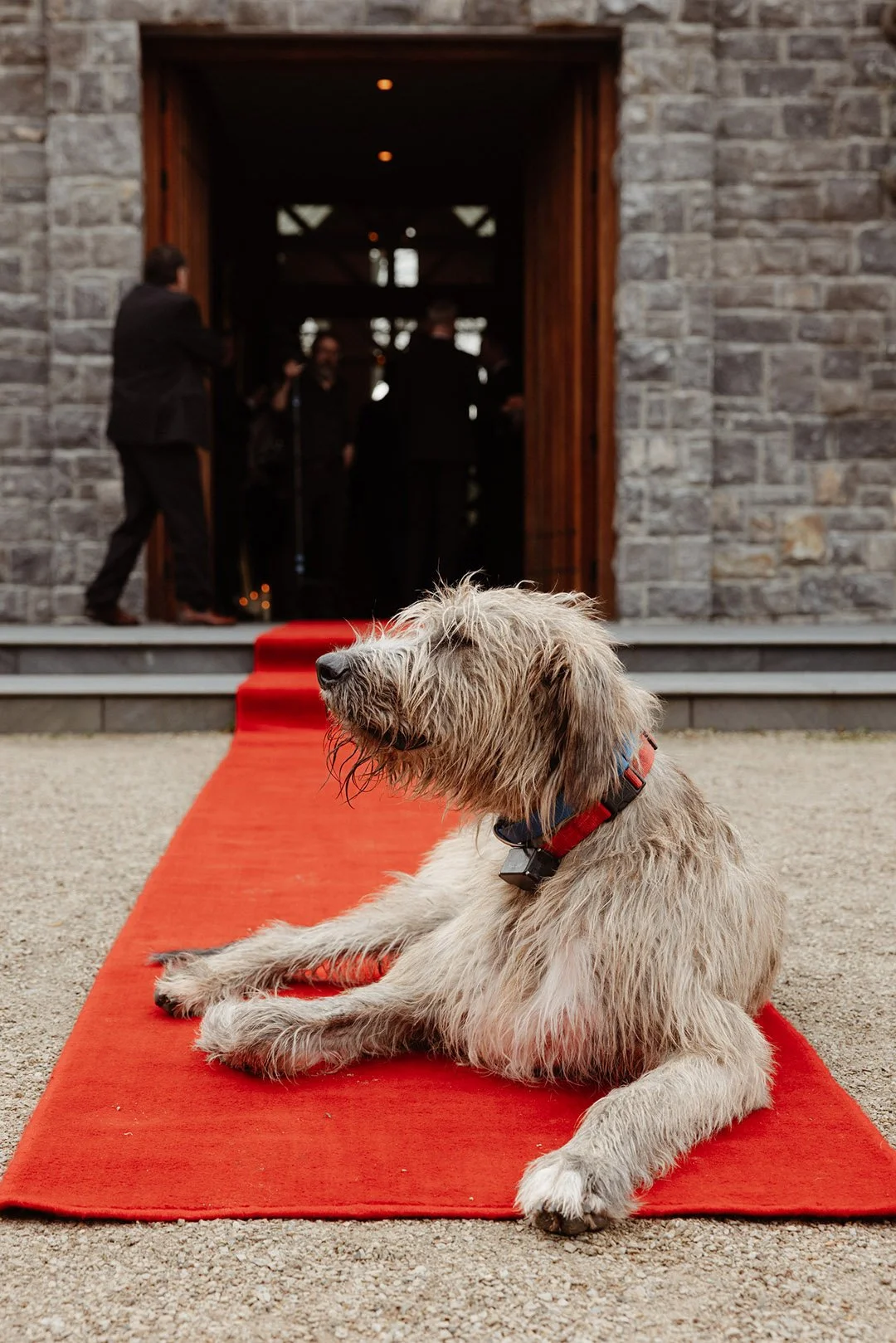 Clare & Martin _M-1548.jpg