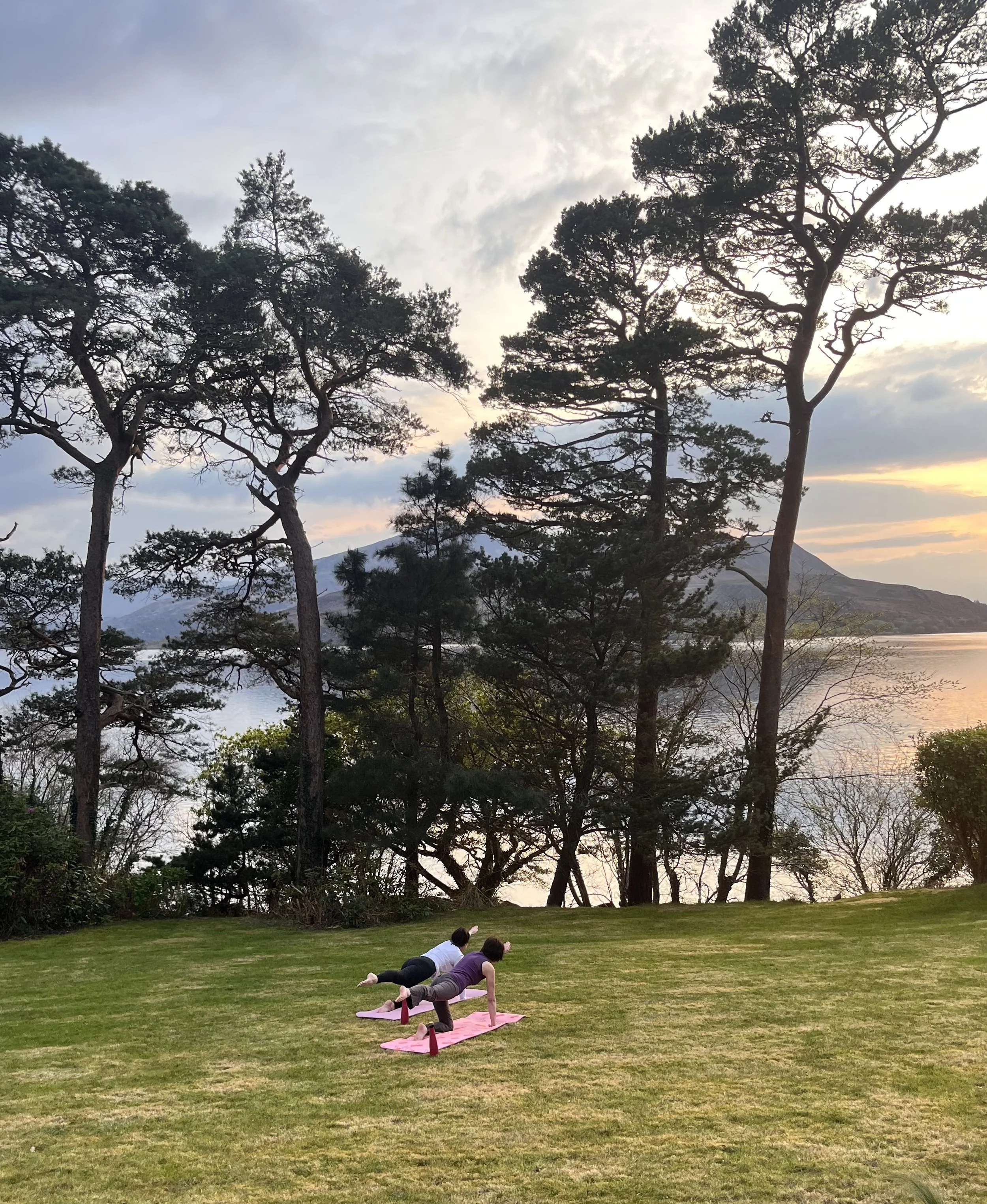 Two people practicing yoga on pink mats outdoors on a grassy field with trees and a lake, mountain in the background, during sunset or sunrise.