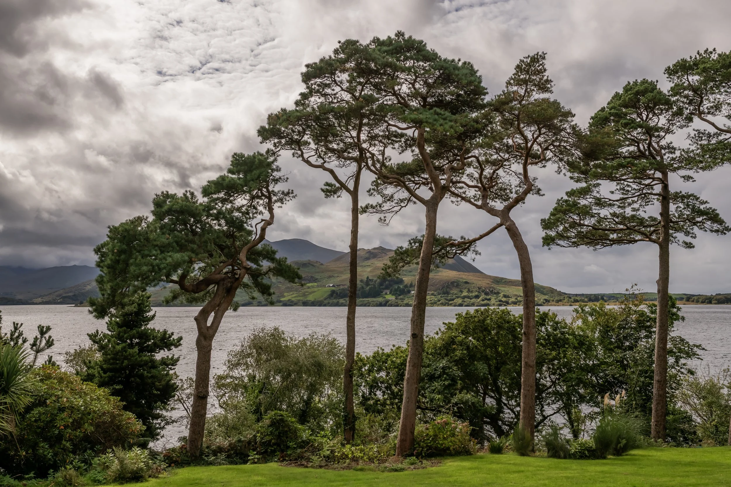 Caragh Lake House - 00149.jpg
