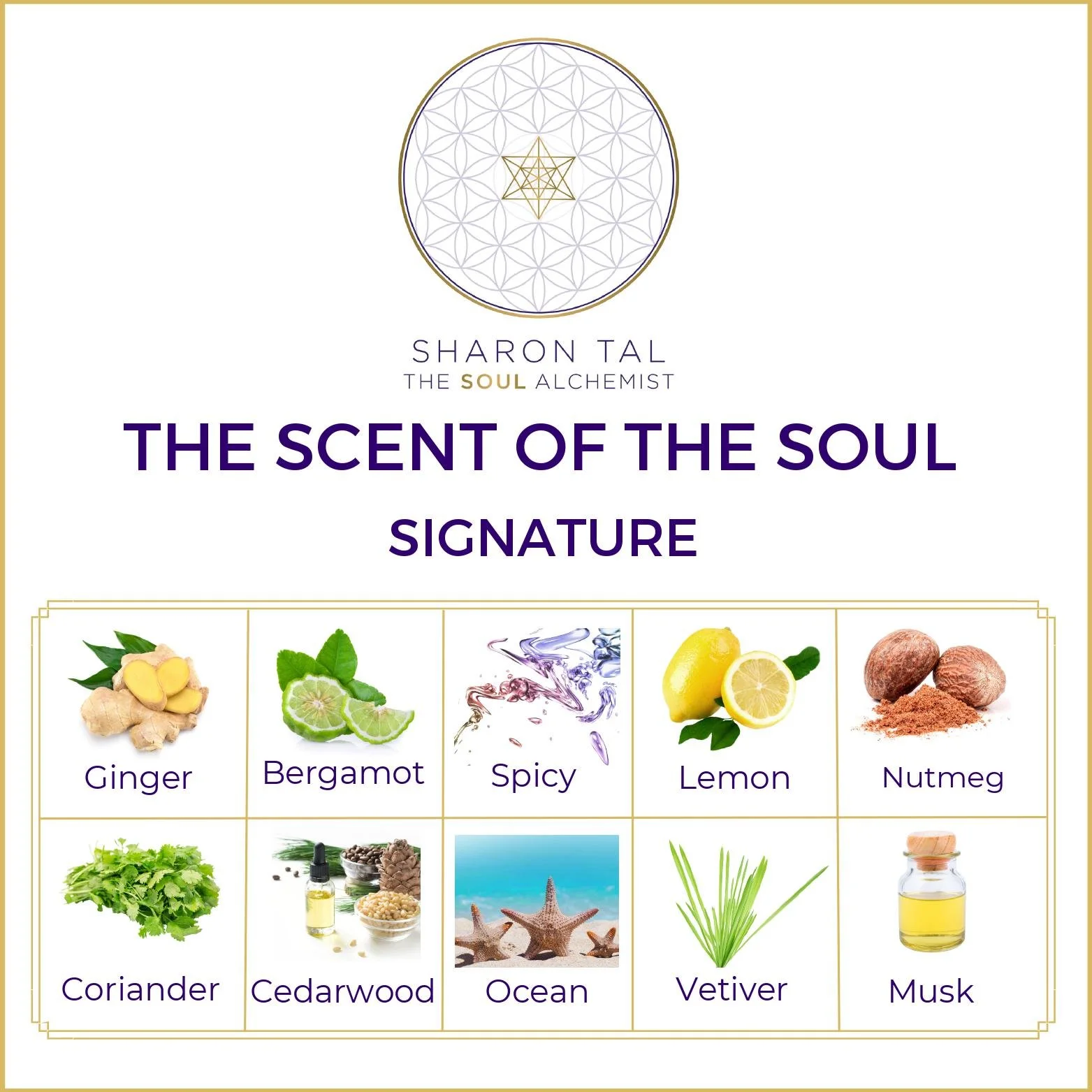 Scent-Signature-gold-border-7-3.jpg