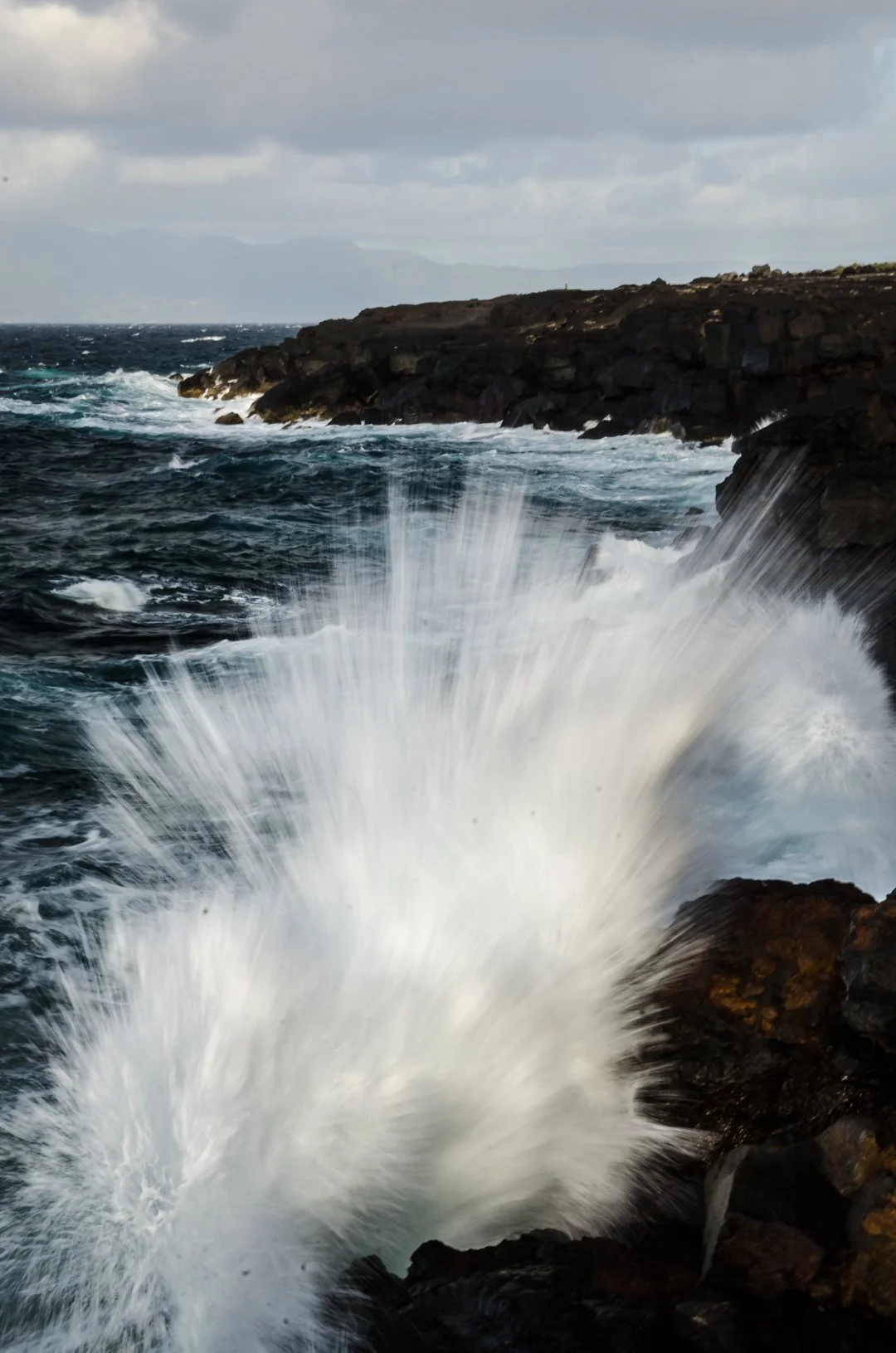 DSC_7084.jpg