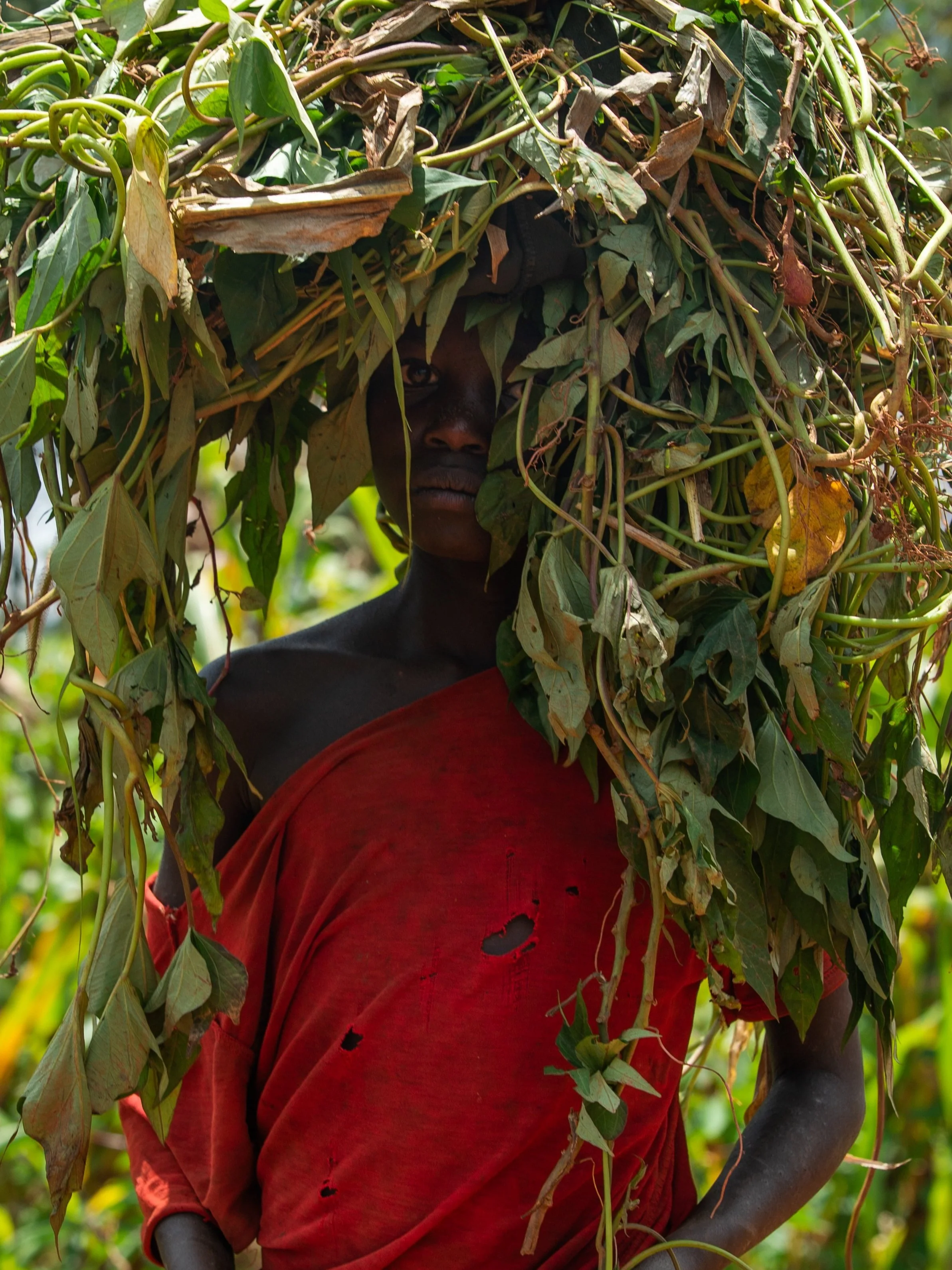 BURUNDI PROJECT