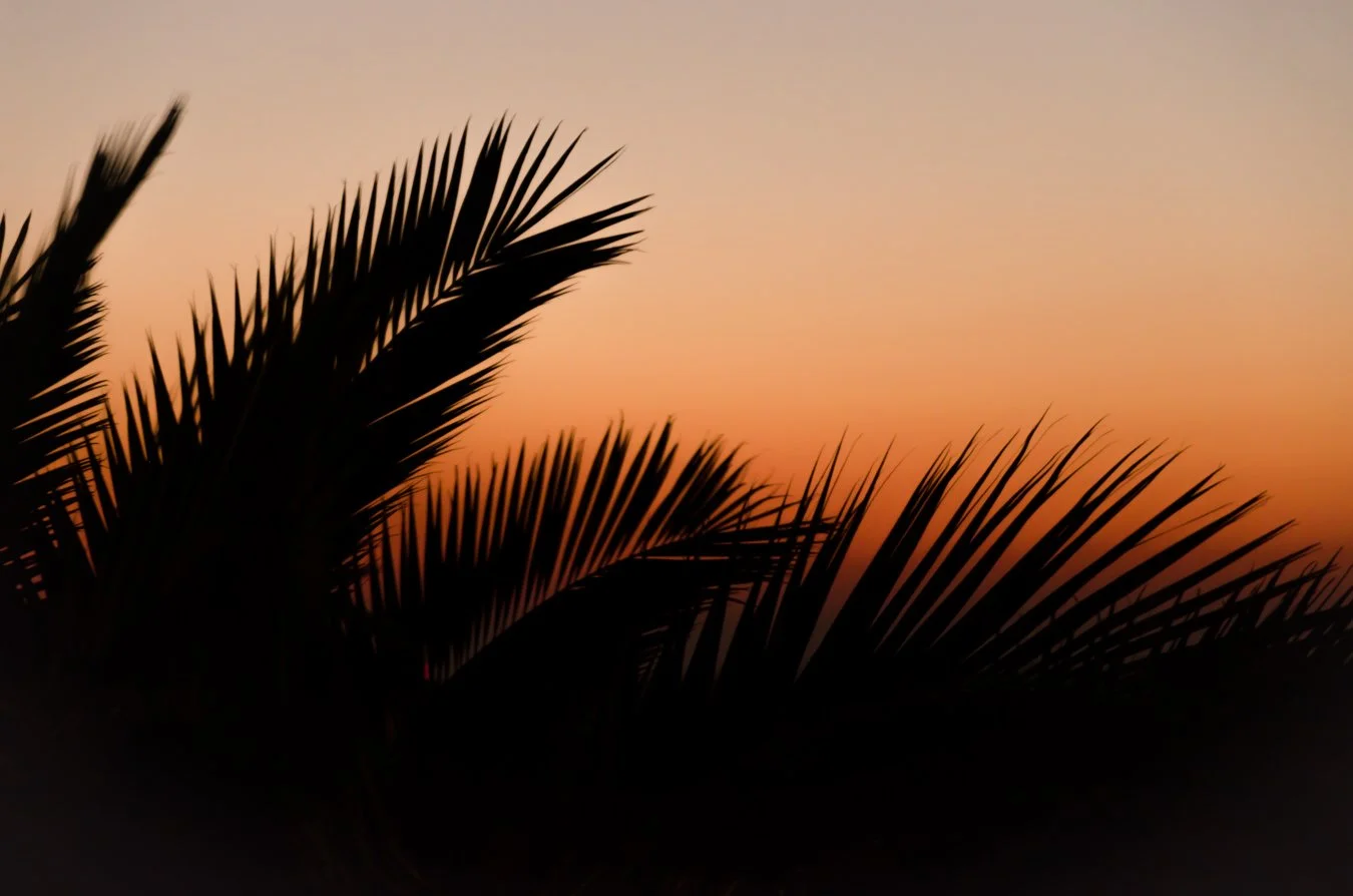 DSC_5073-2.jpg