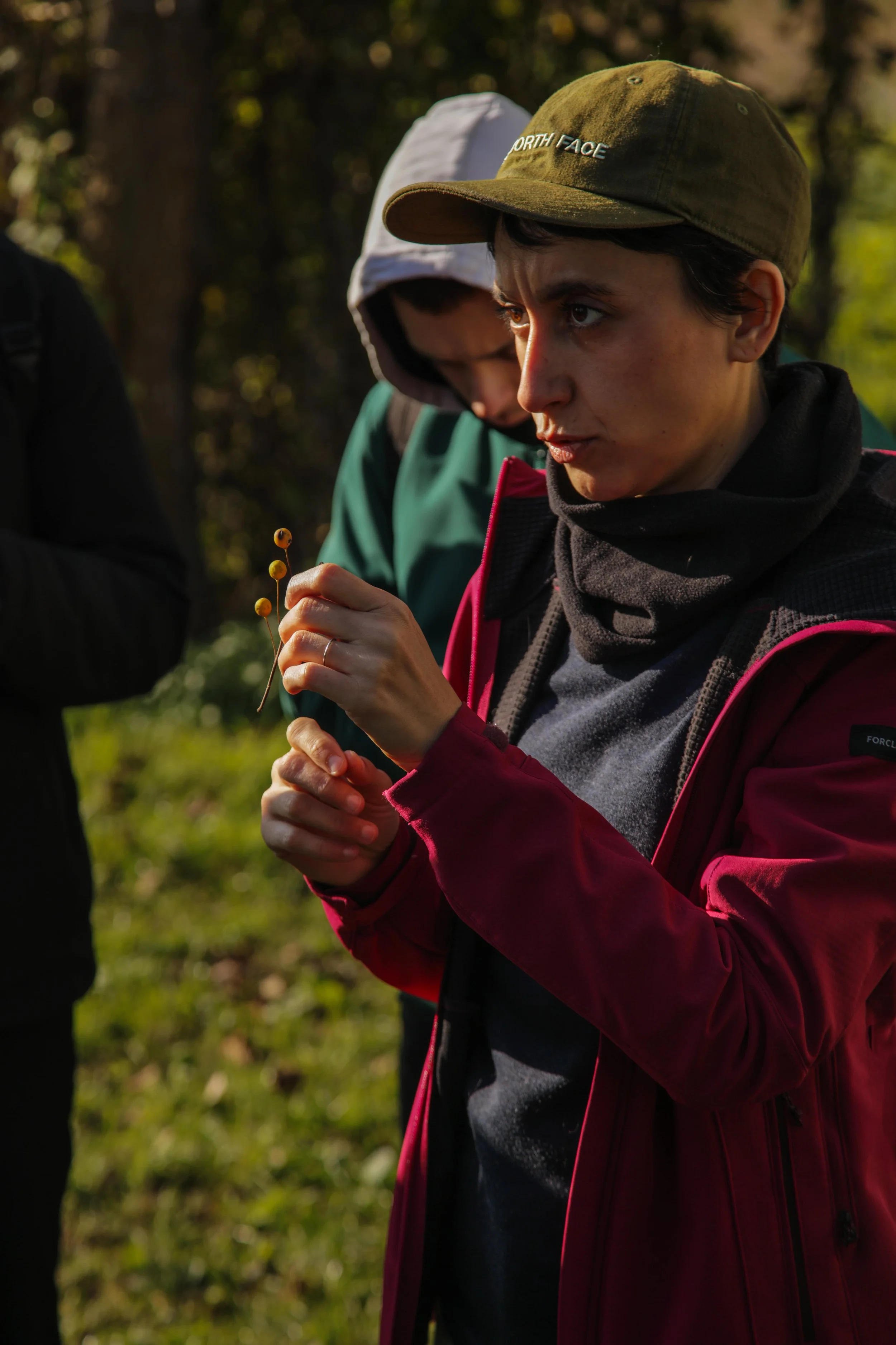 IMGL9470-min.jpg