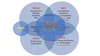 Avcs Vs Non Avcs Abdominal Vascular Compression Syndrome — AVCS Vascular Consultation