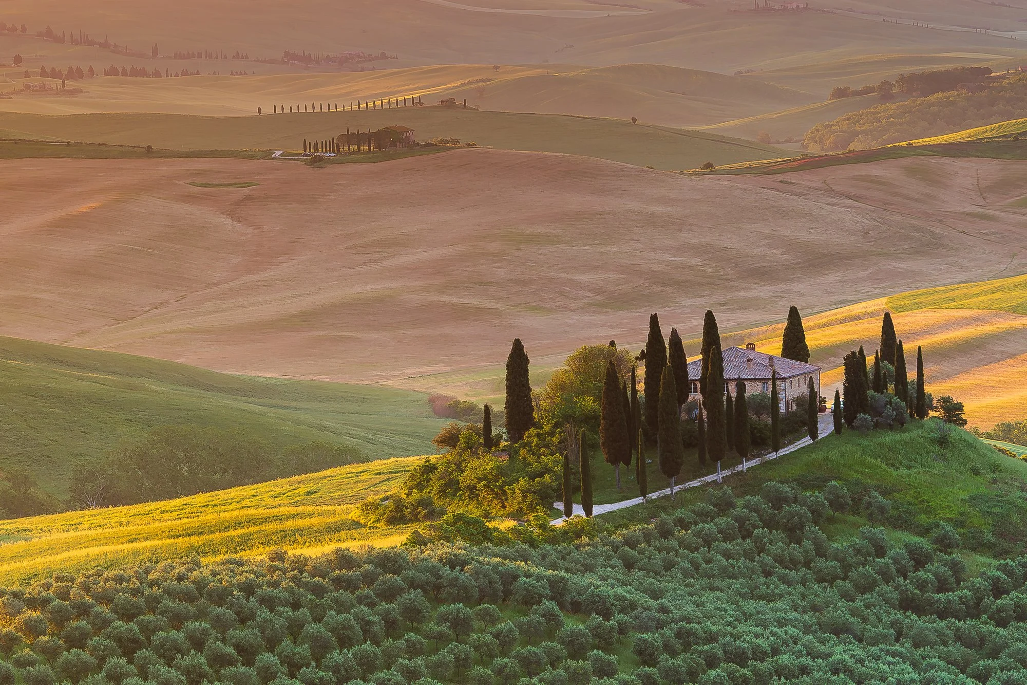 Toscana-Italy-Landscape--3.jpg