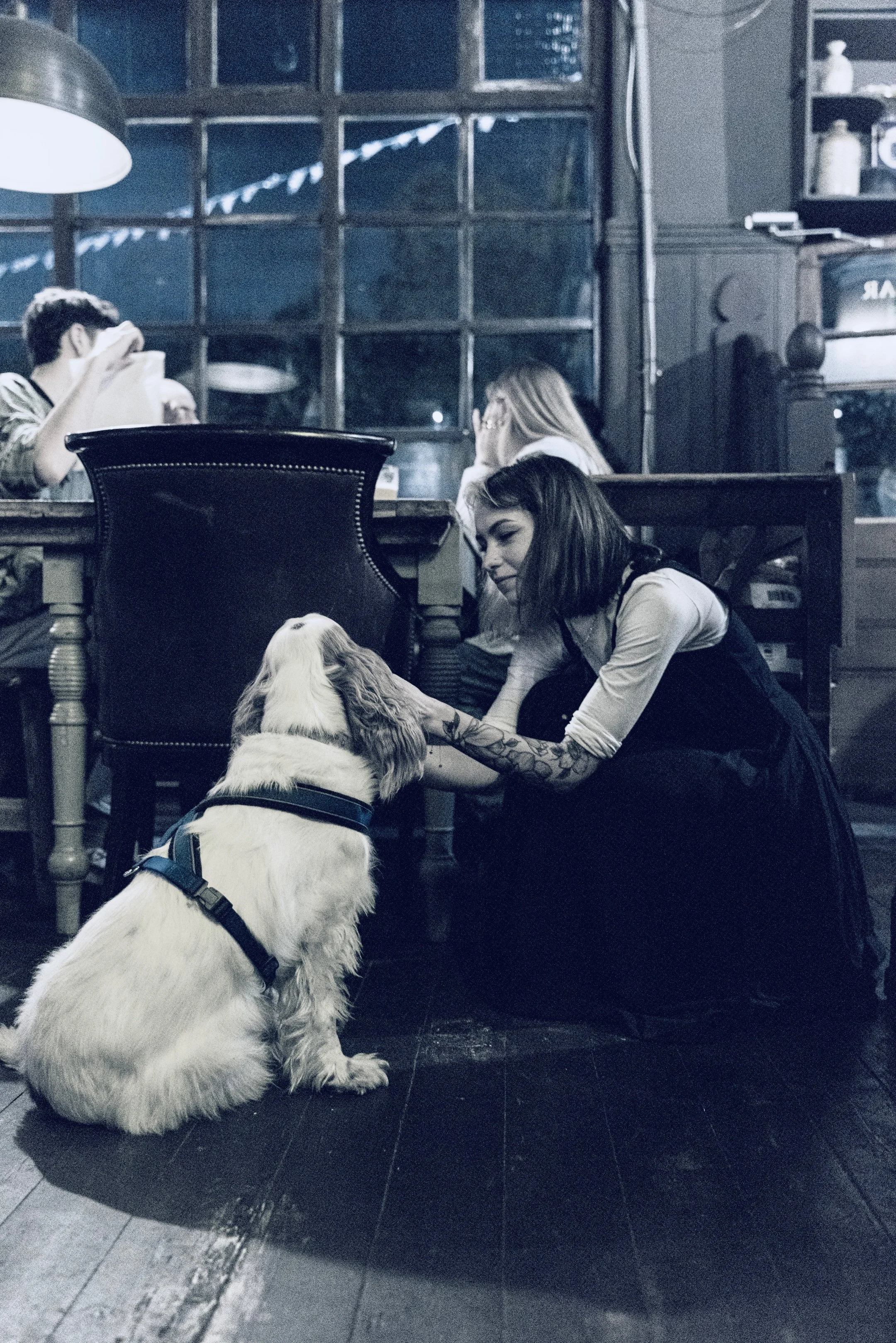 A woman with tattoos on her arm interacting with a large white dog in a restaurant or cafe. Other patrons are visible in the background, and the setting has a cozy, industrial interior with dark furniture and large windows.