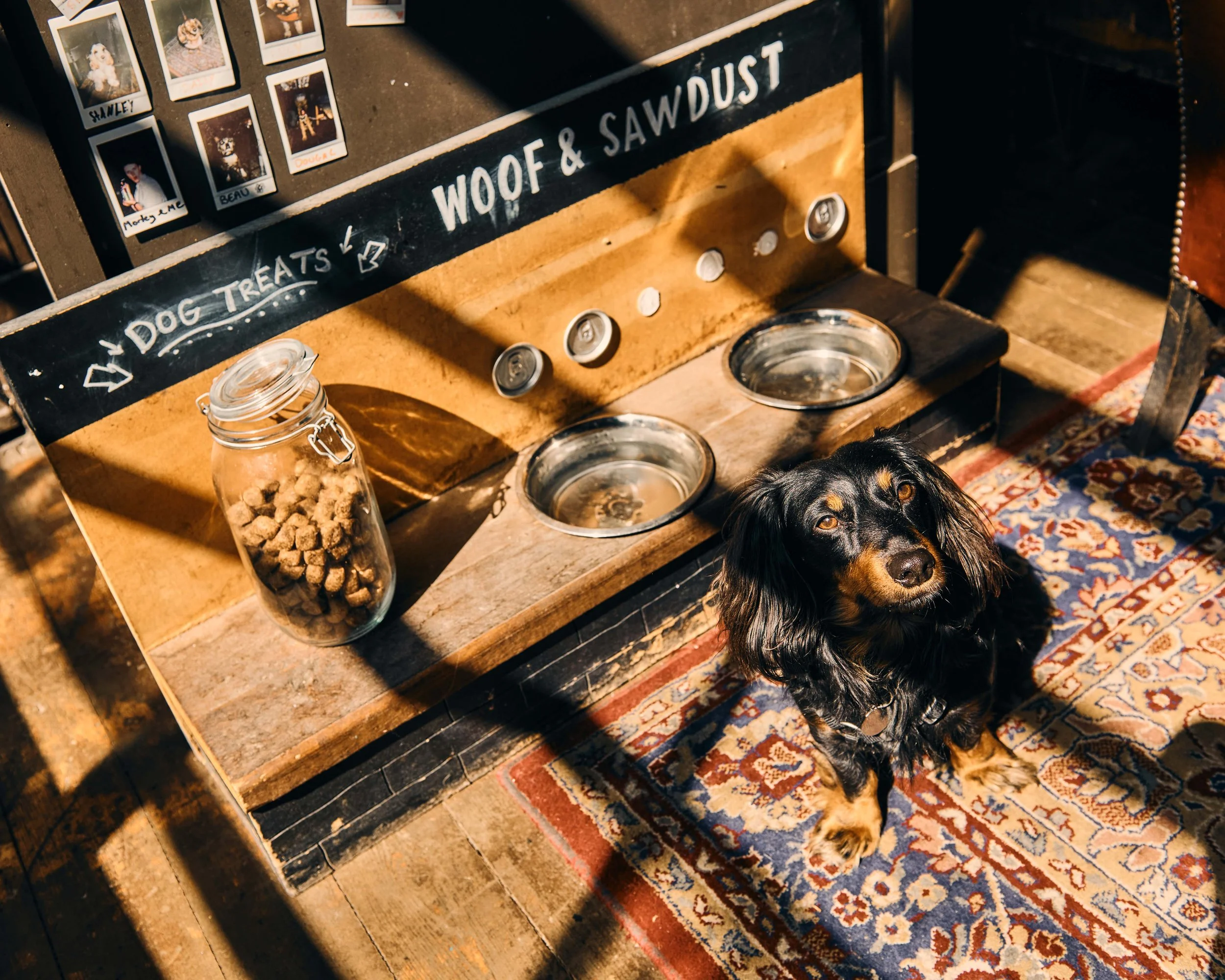 Spit and Sawdust 12.jpg