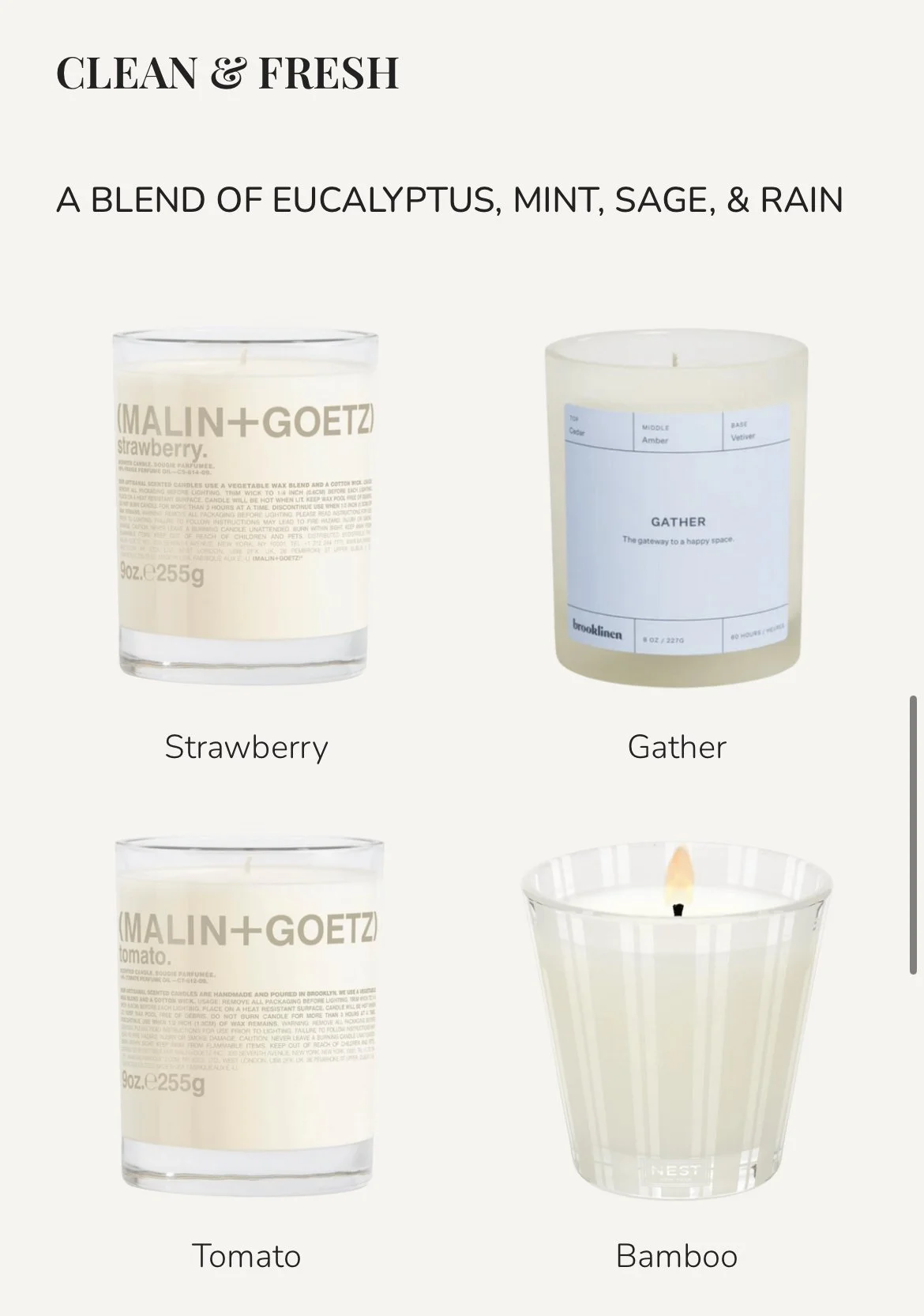 Clean & Fresh Scented Candles
