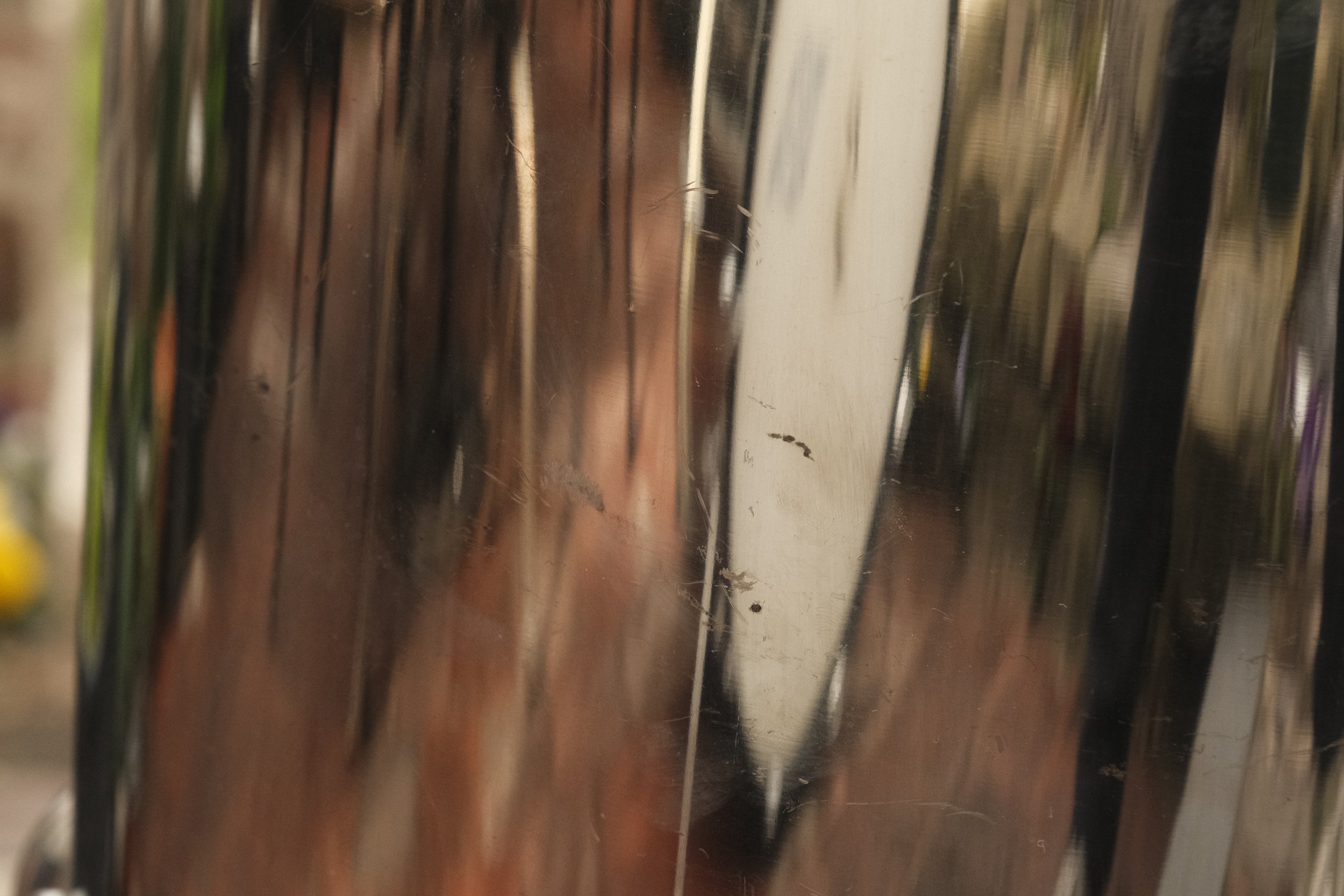 _DSF0170.JPG