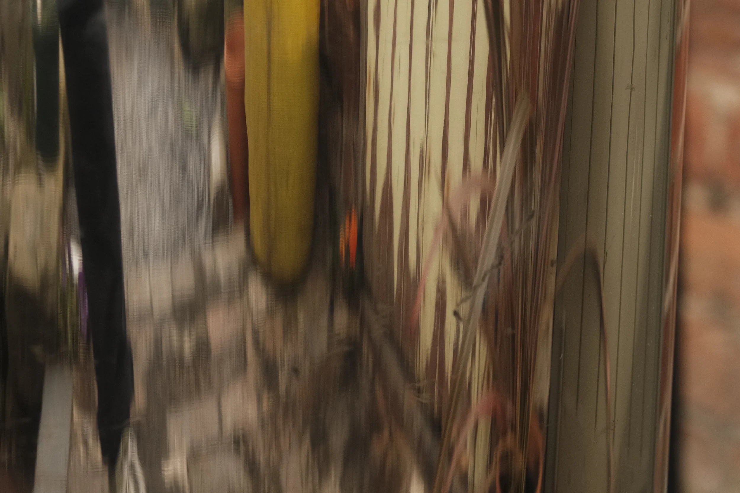 _DSF0171.JPG