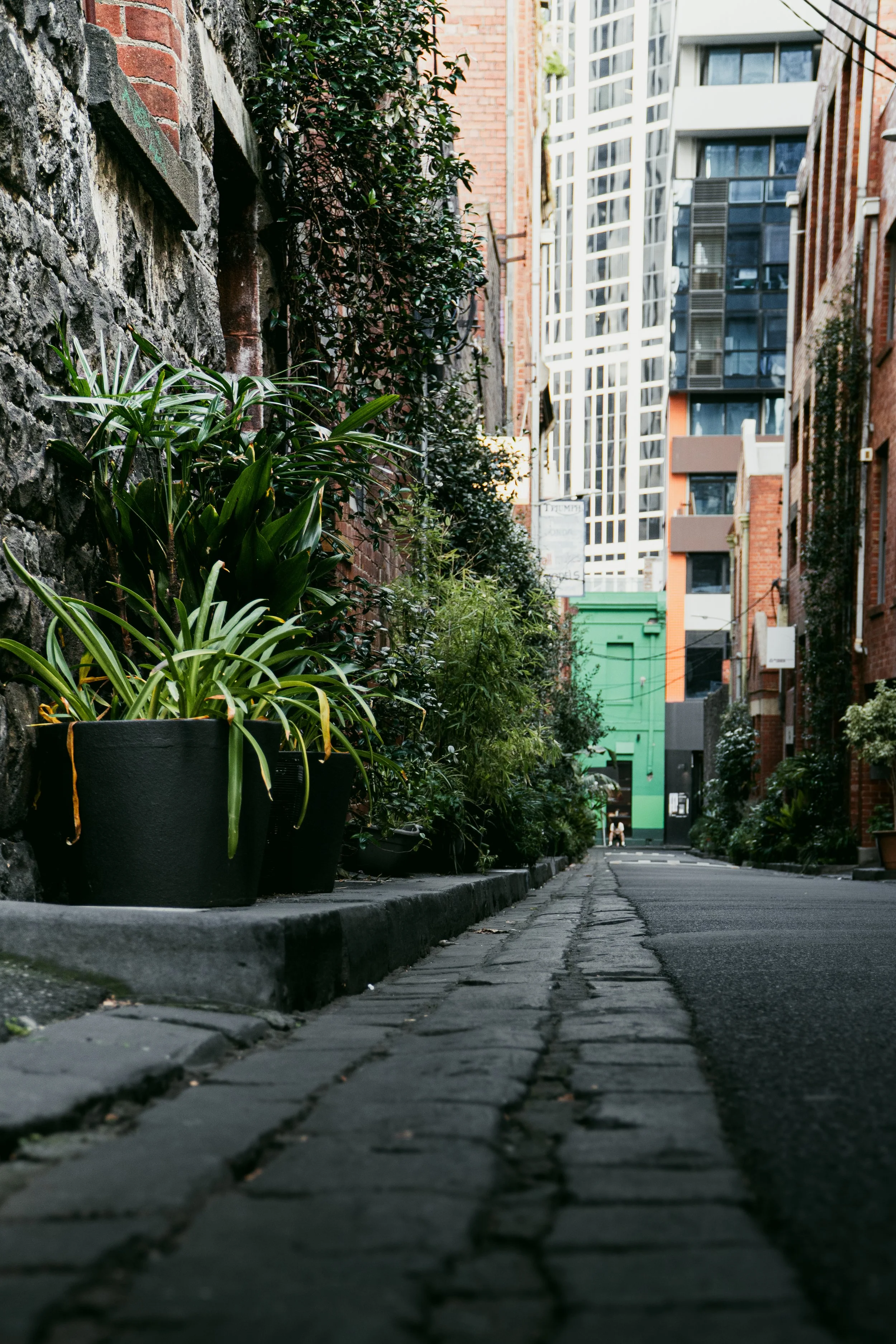 Urban alleyway with potted plants along a brick and stone sidewalk, surrounded by tall buildings with modern glass facades and some brick structures.