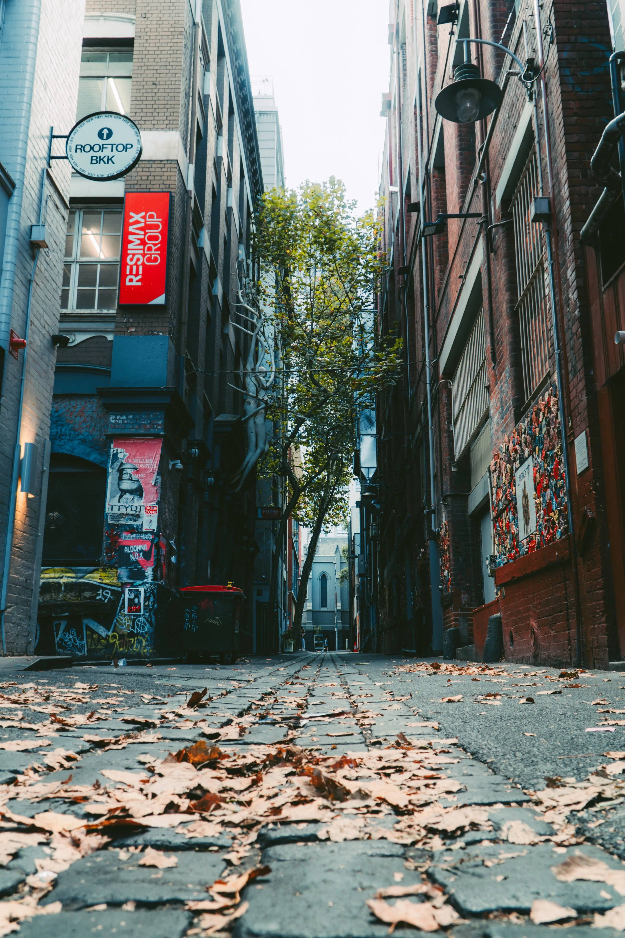 A narrow city alleyway with fallen autumn leaves on cobblestone pavement, flanked by brick and painted buildings, with signs and graffiti, and a tree in the distance.